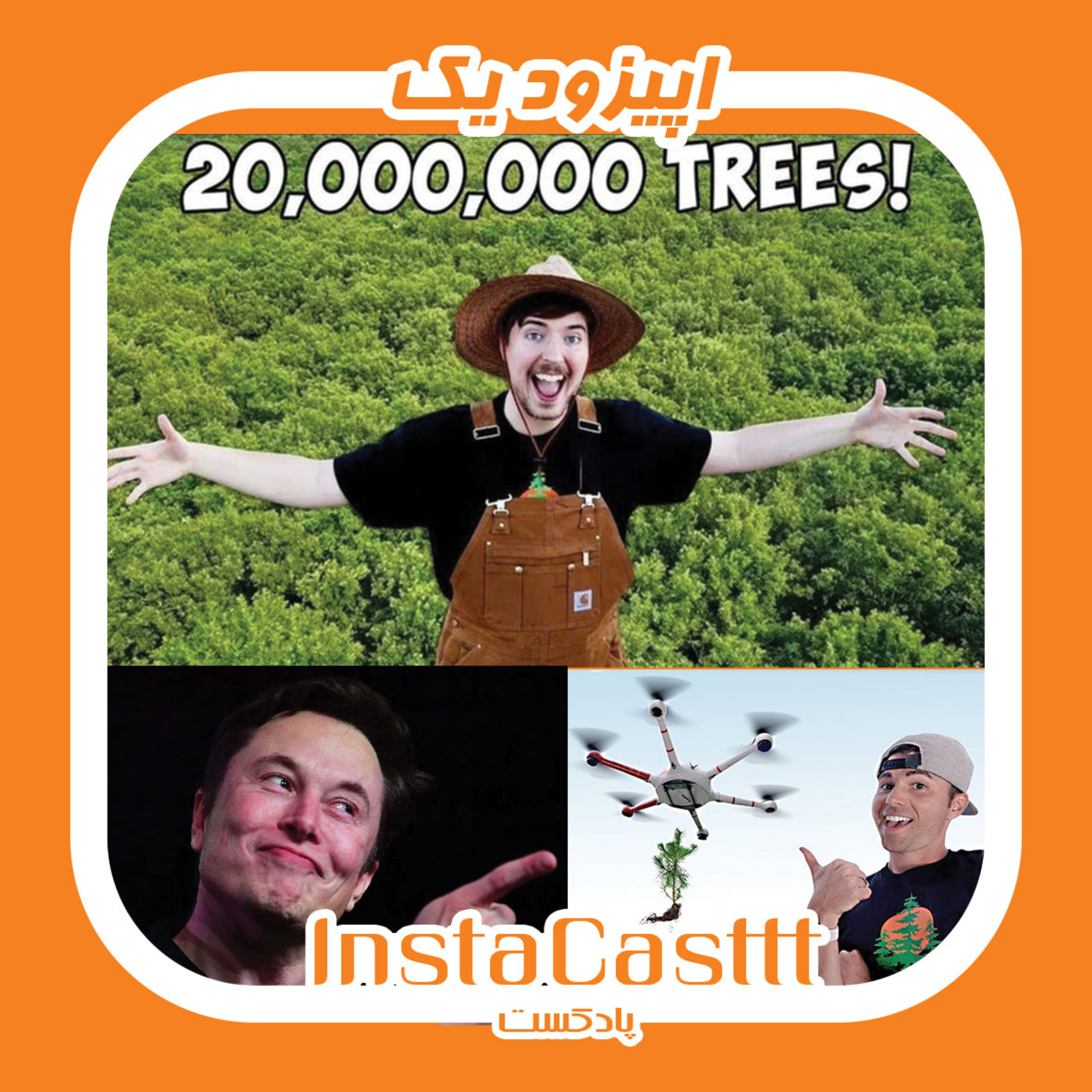 کاور !بیست میلیون درخت