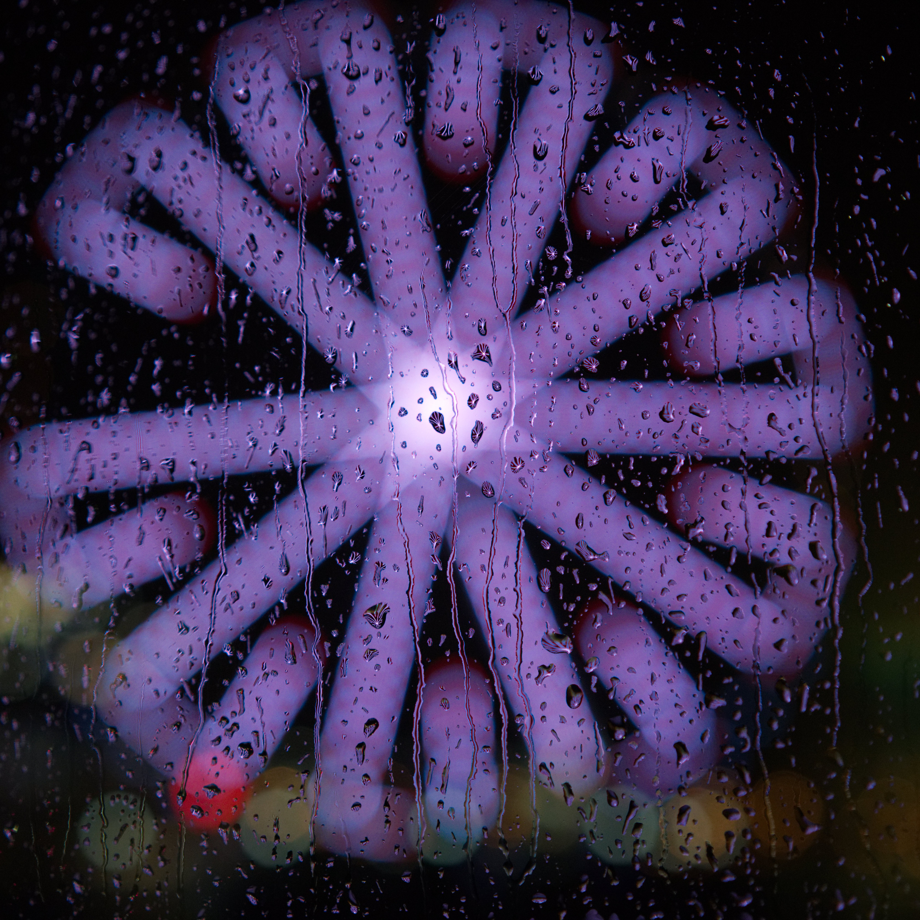 Corona Diaries 032220