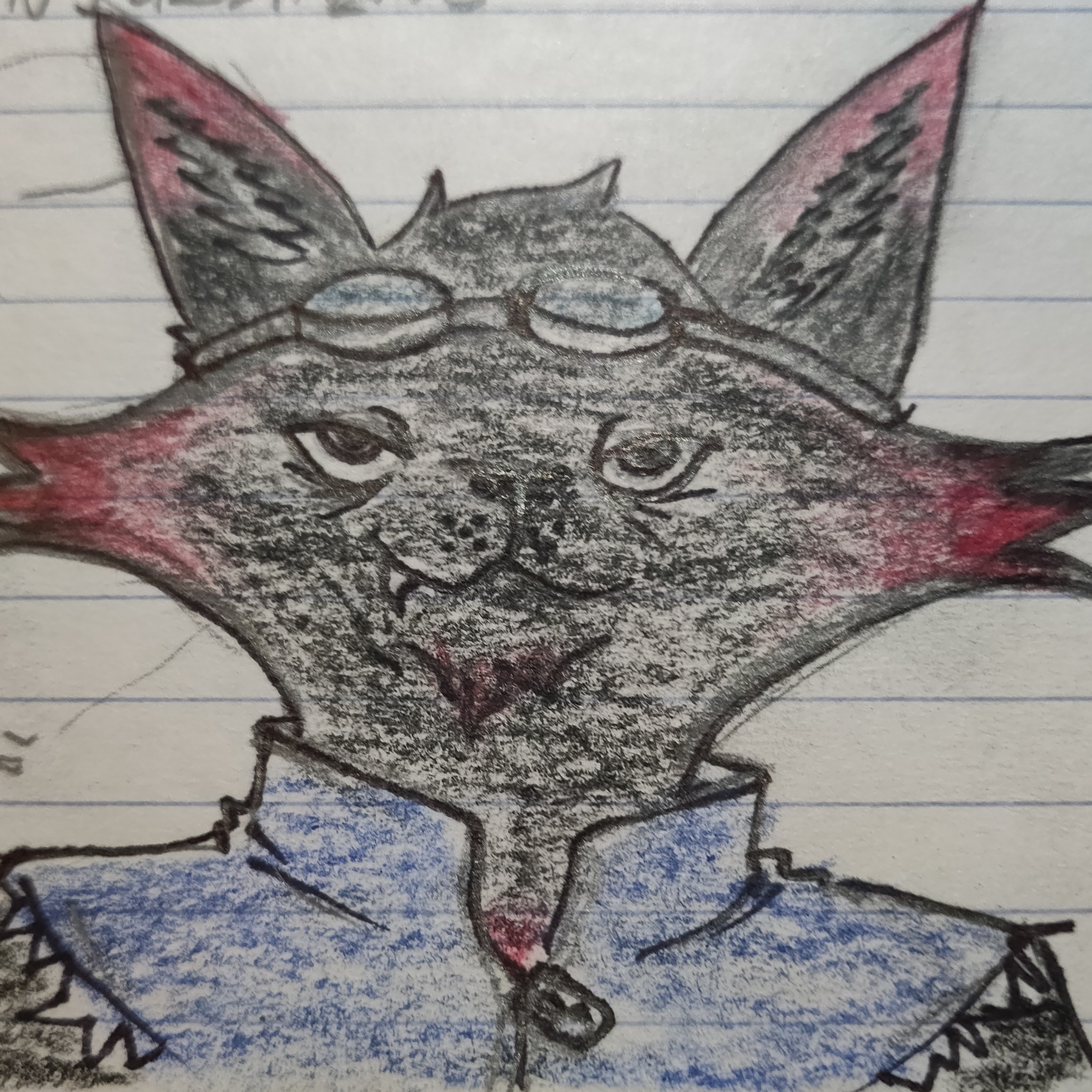 Stranger Skies Episode 19: Gall, Mauls, And Close Calls episode artwork