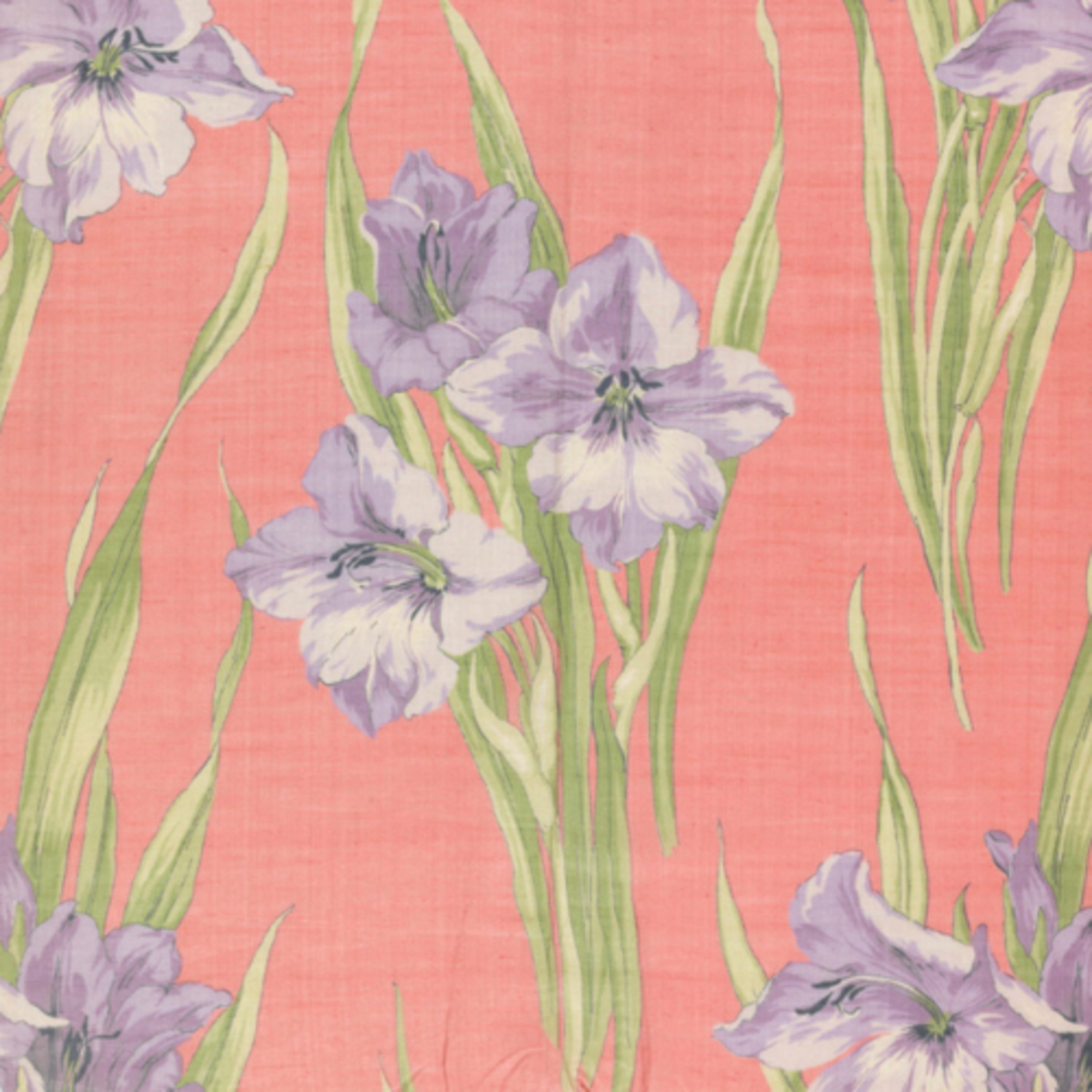 Bige ile Dişil Varoluş