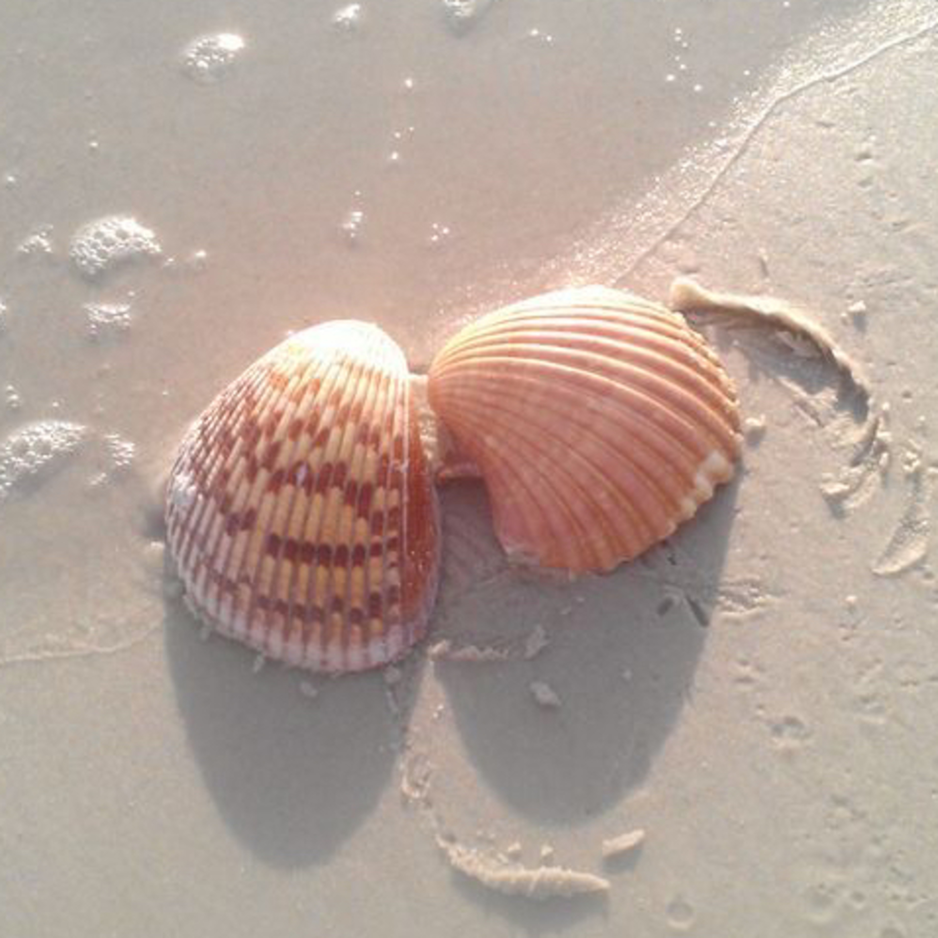 Bige ile Dişil Varoluş