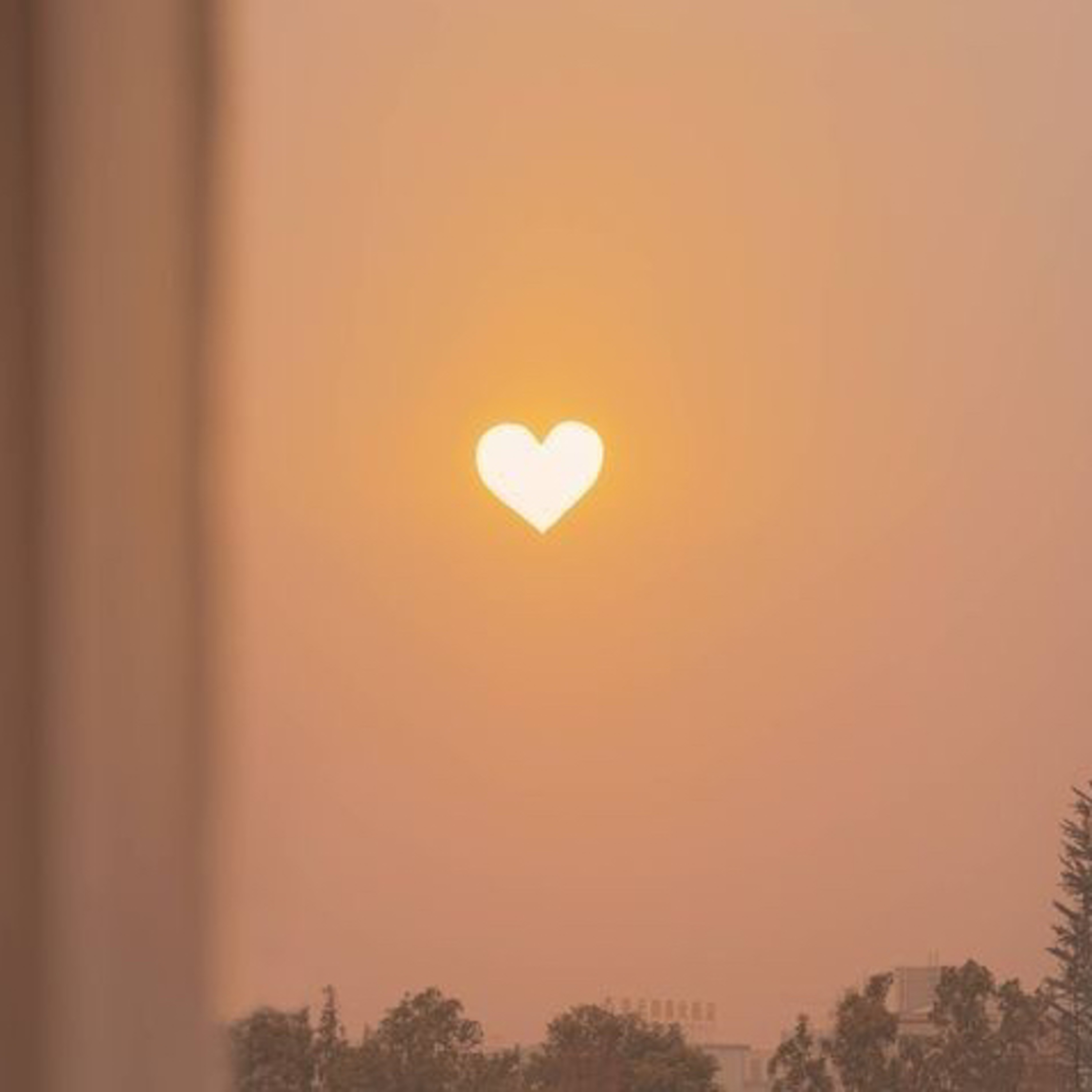 Bige ile Dişil Varoluş