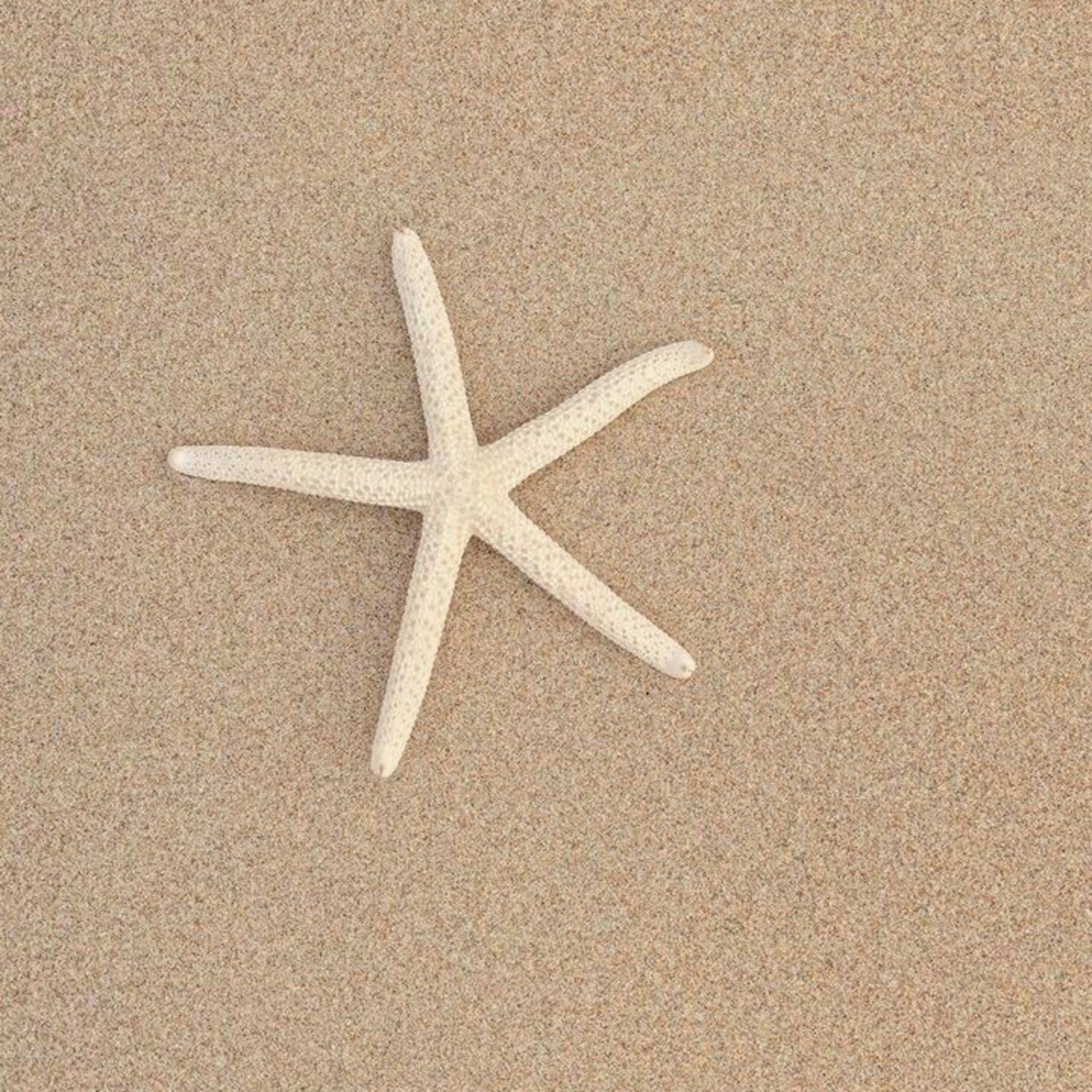 Bige ile Dişil Varoluş