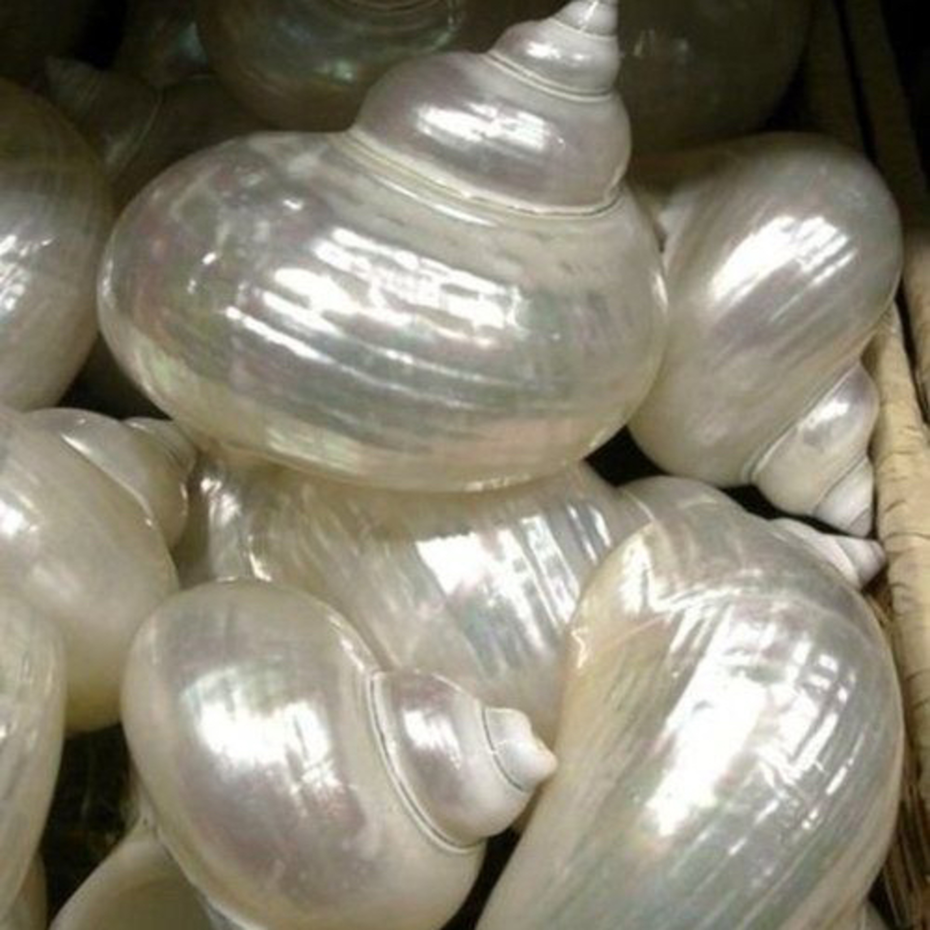 Bige ile Dişil Varoluş