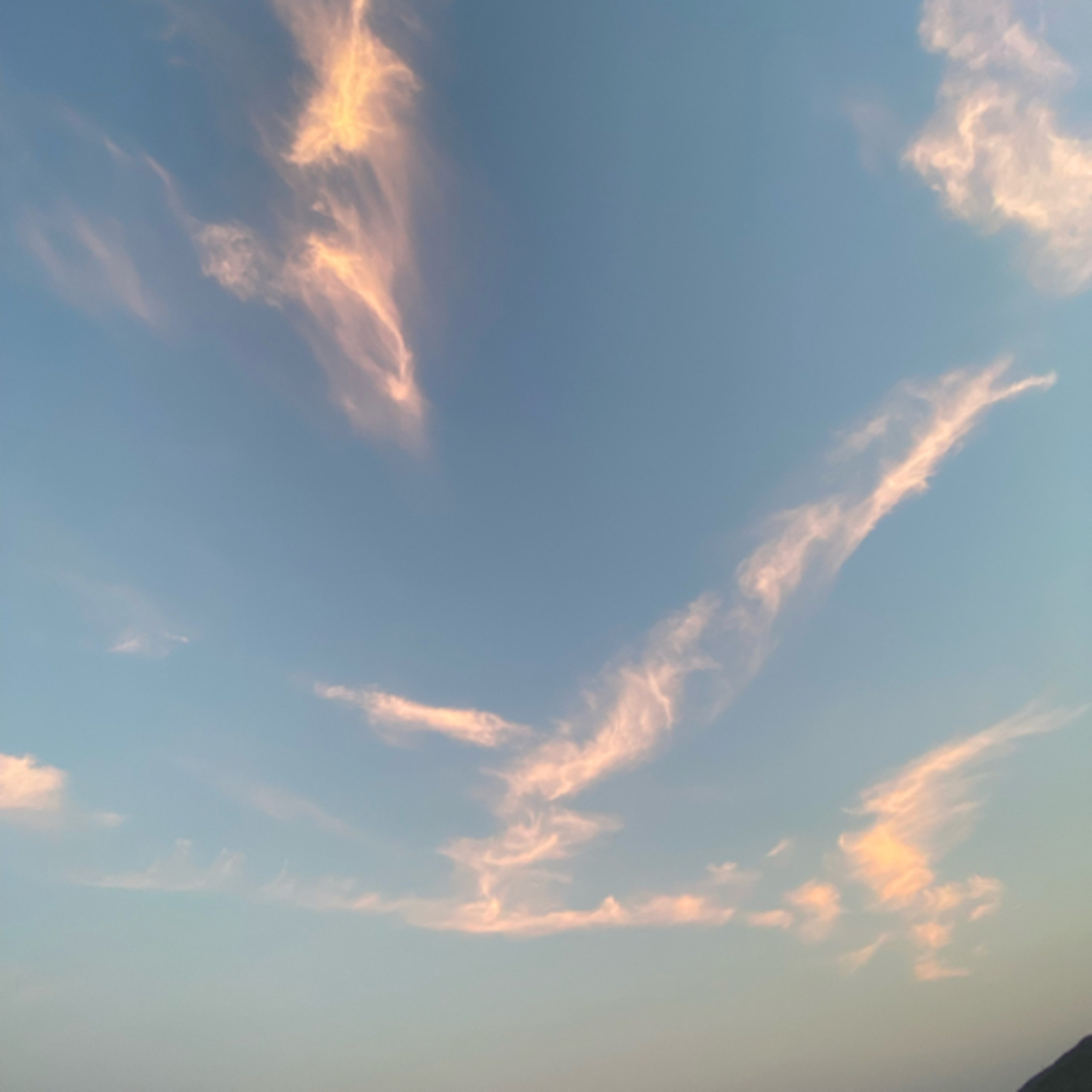 Bige ile Dişil Varoluş