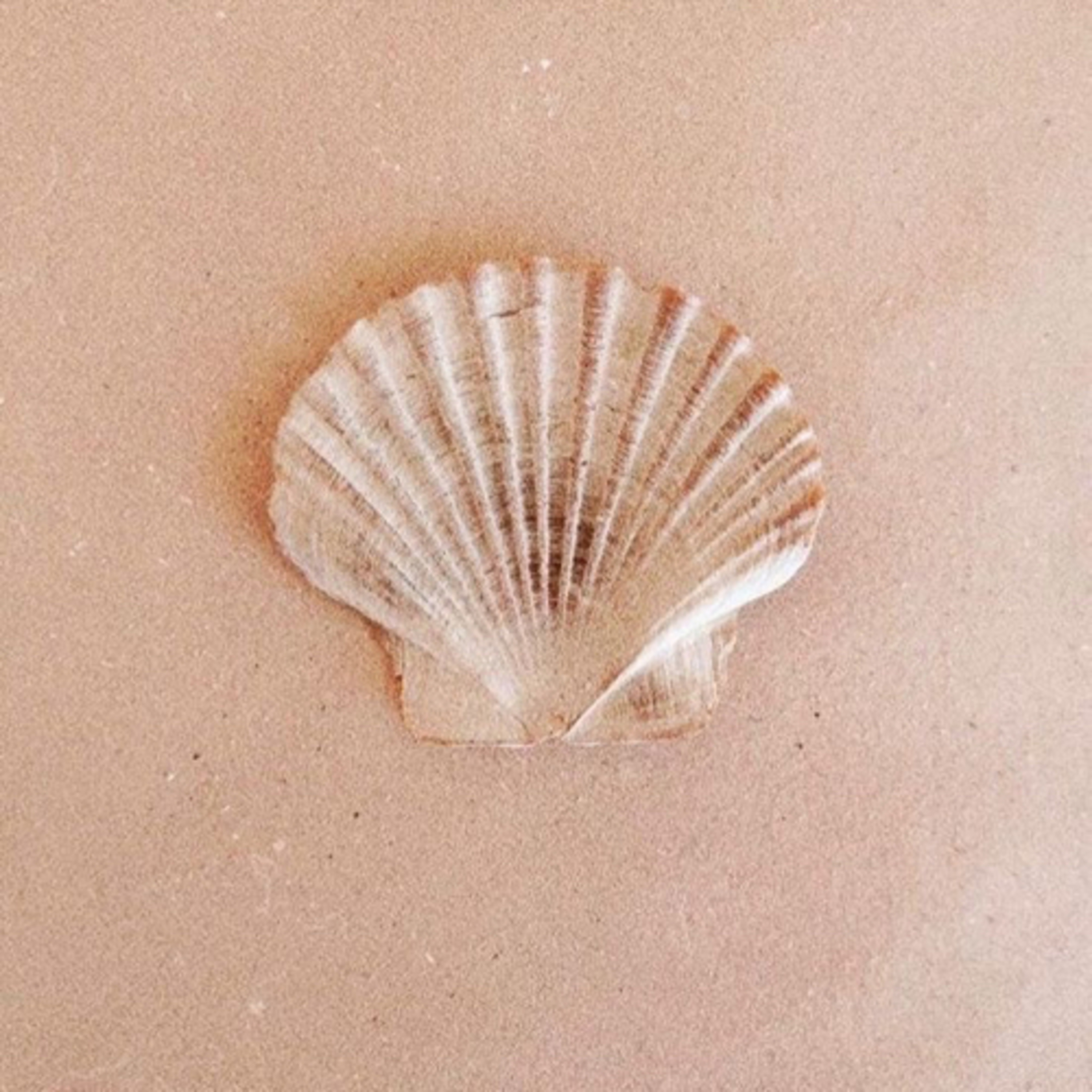 Bige ile Dişil Varoluş