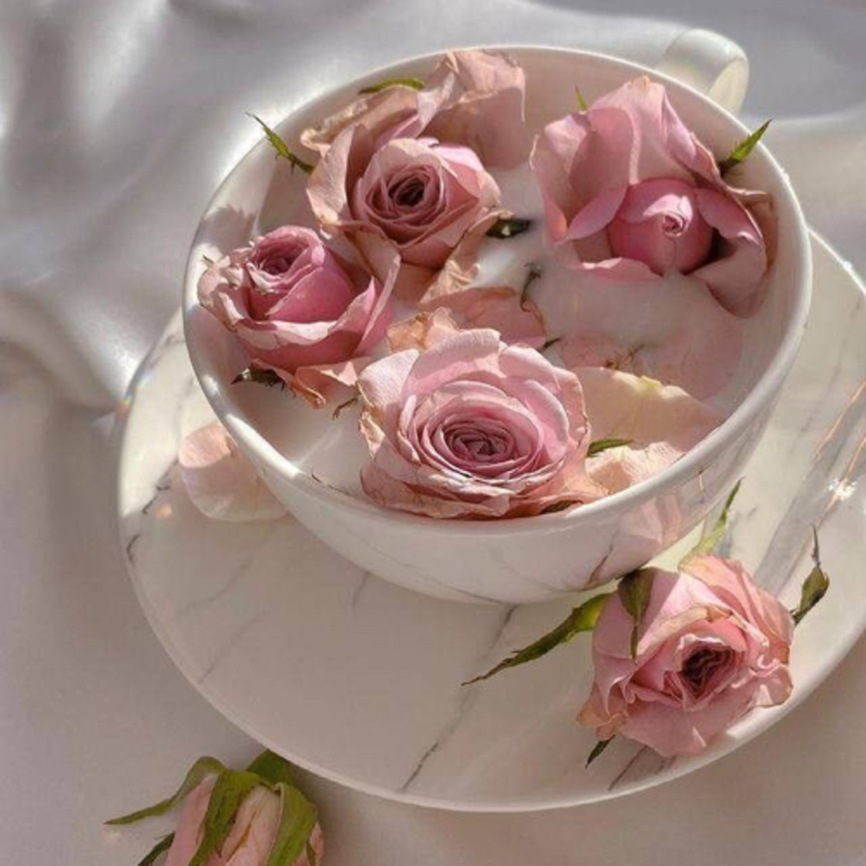 Bige ile Dişil Varoluş