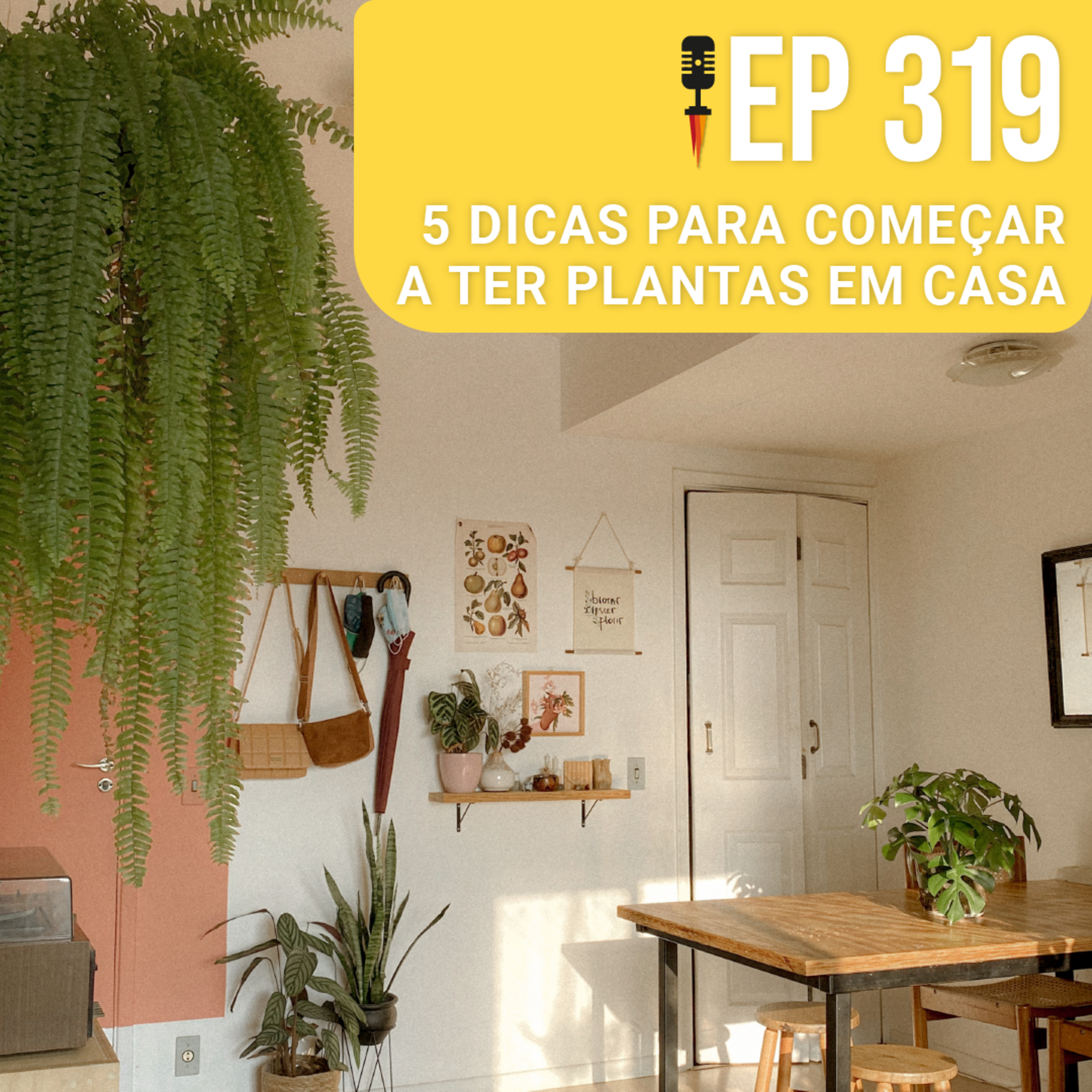#319 - 5 Dicas para começar a ter plantas em casa - Rapidão Casa