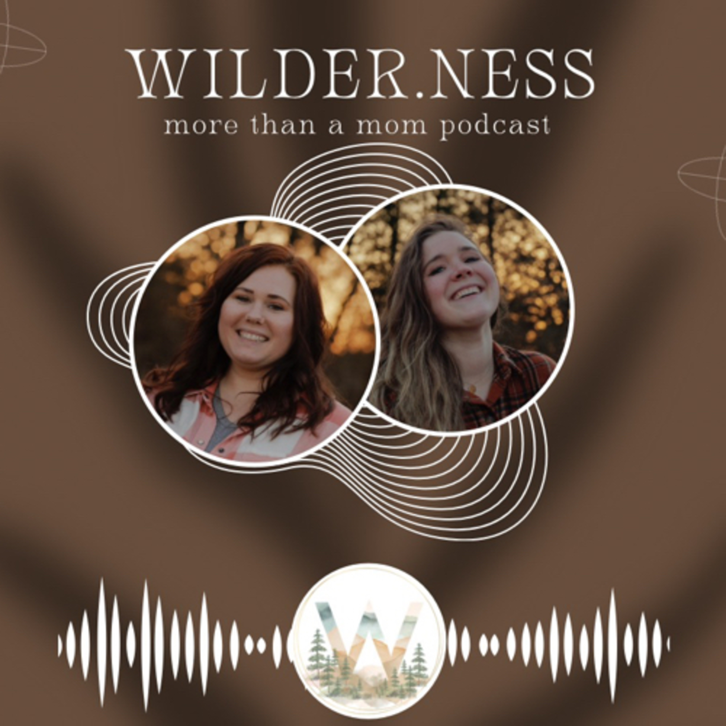 Into the Wild episode artwork
