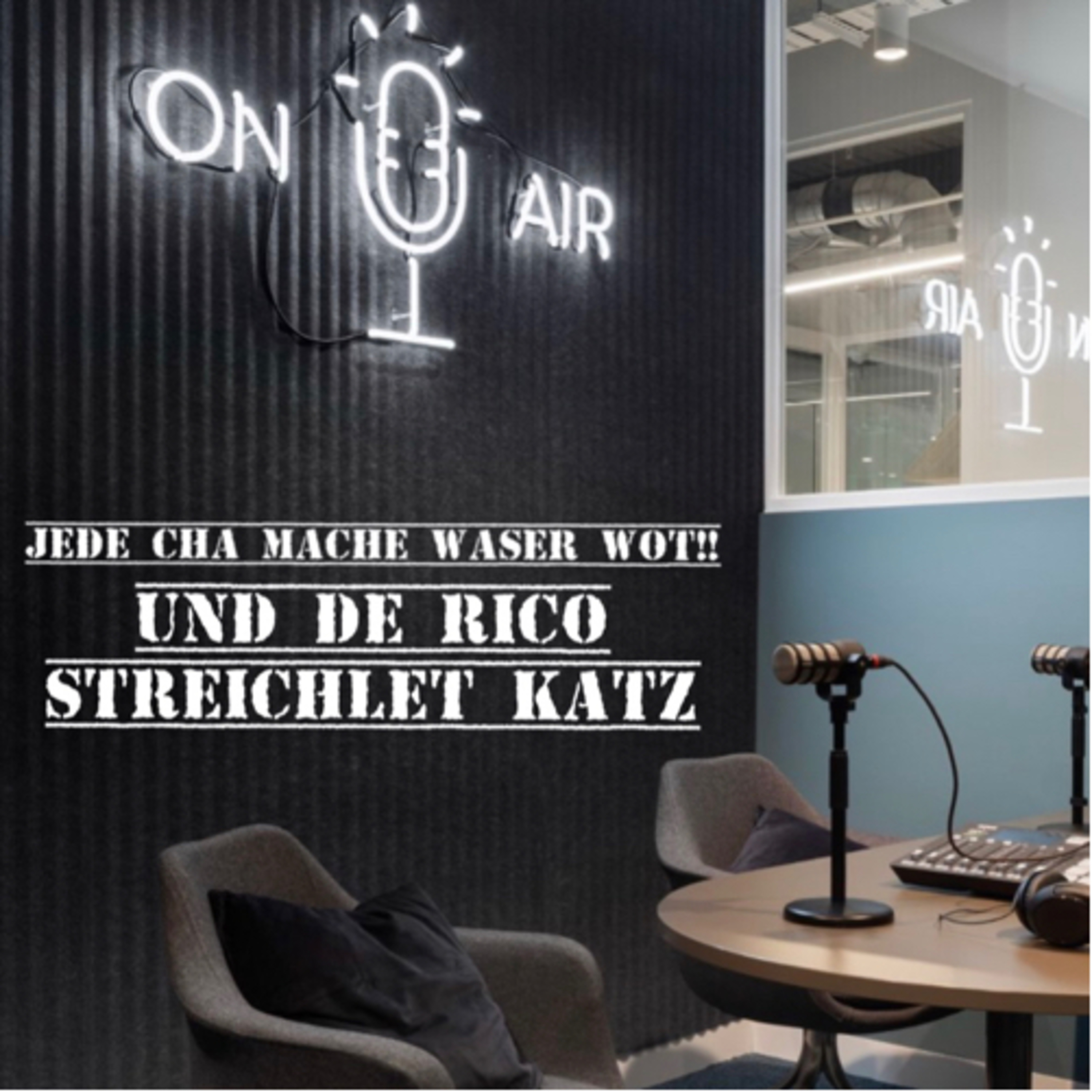 Jede söll mache waser wot.. und de Rico streichlet Katz!! episode artwork