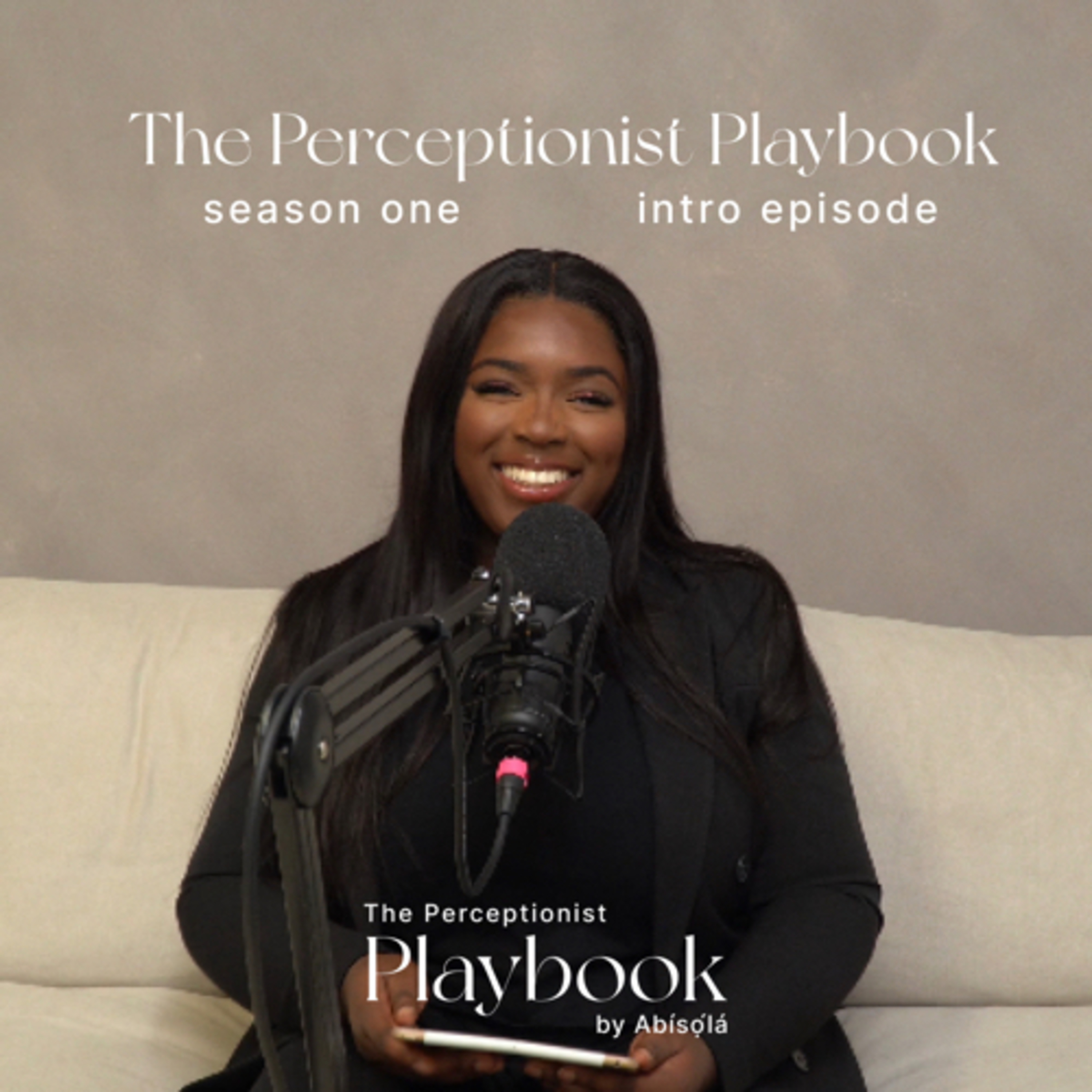 Welcome to The Perceptionist Playbook podcast | Introduction episode episode artwork