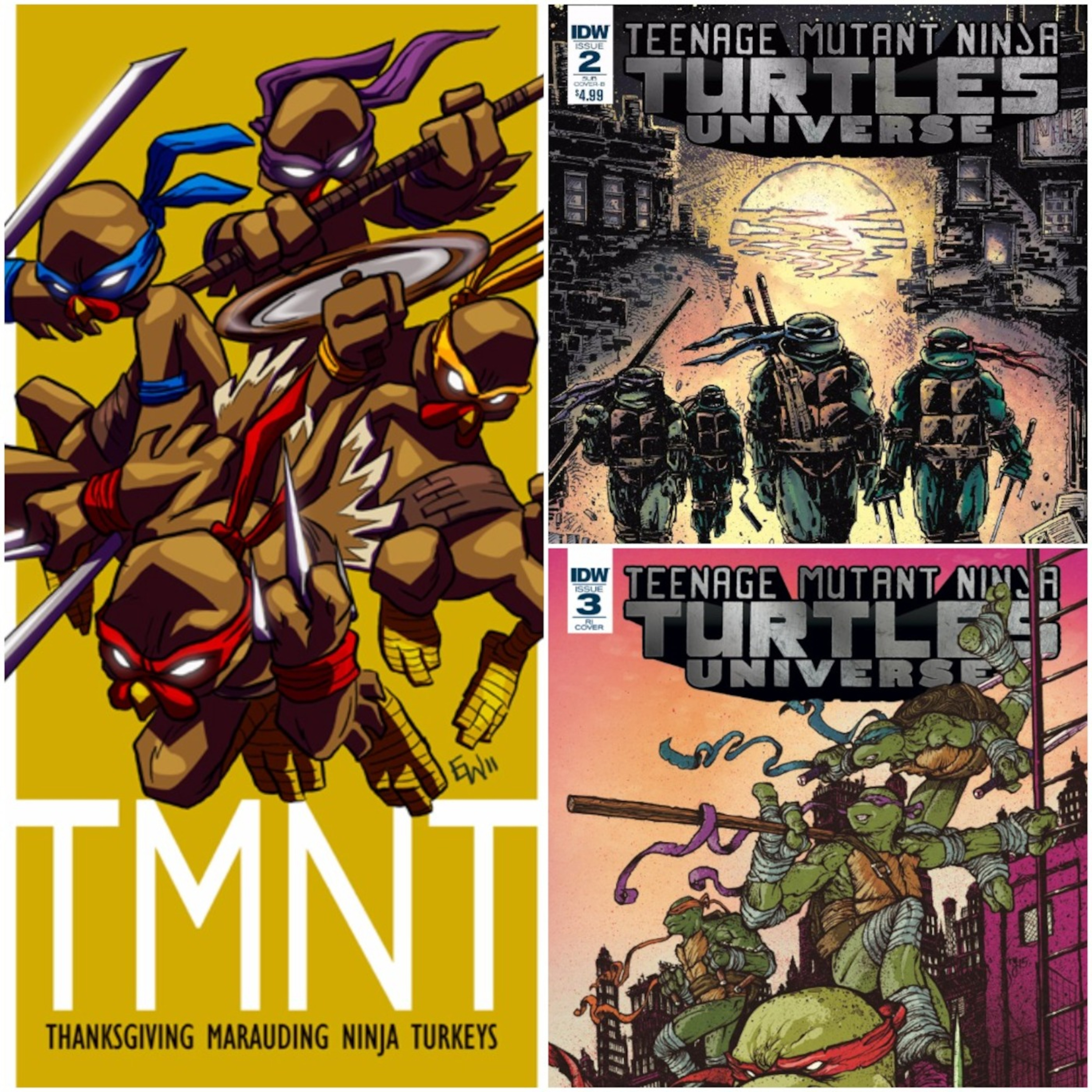 Across the TMNT Universe