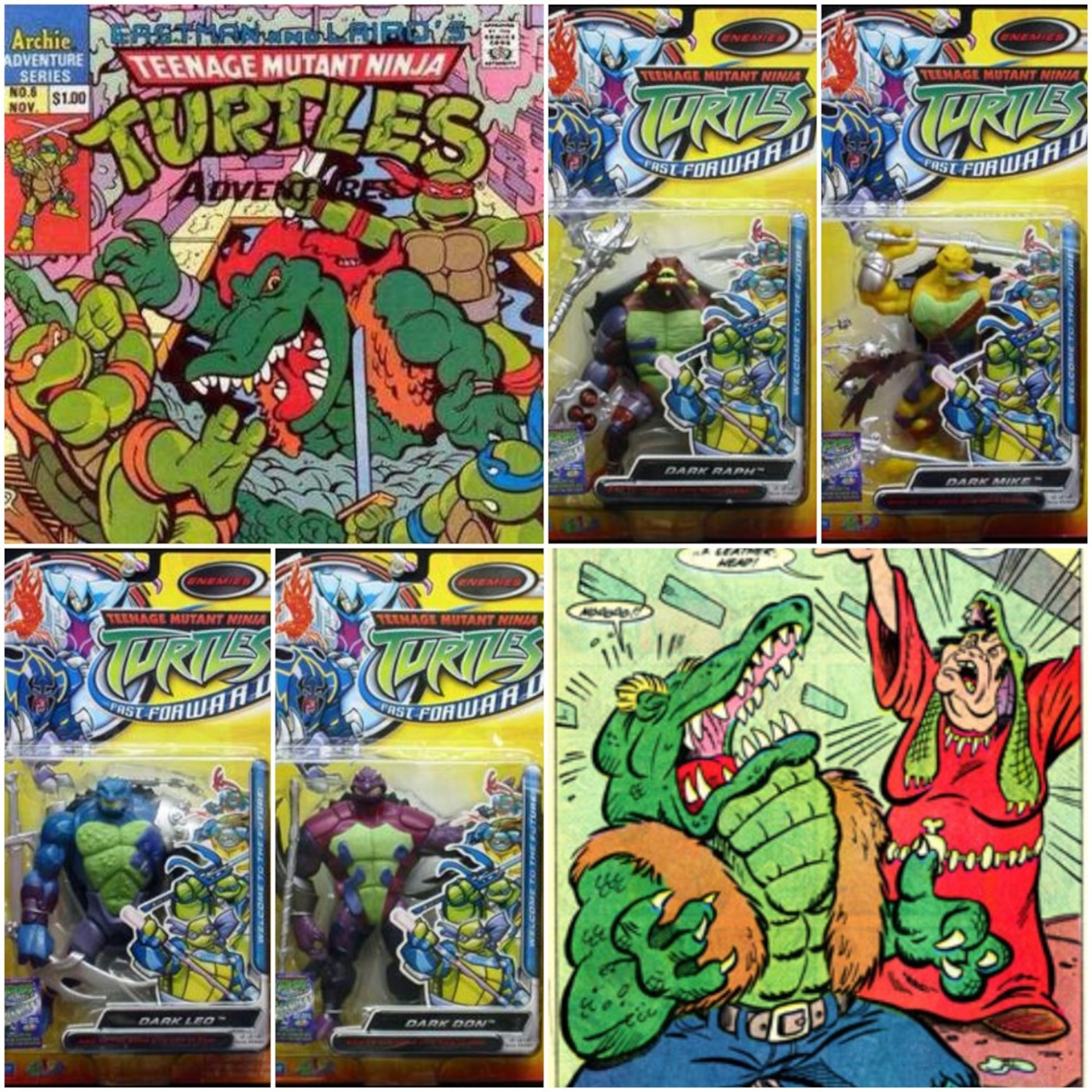 Of Turtles and Stones and Mary Bones!