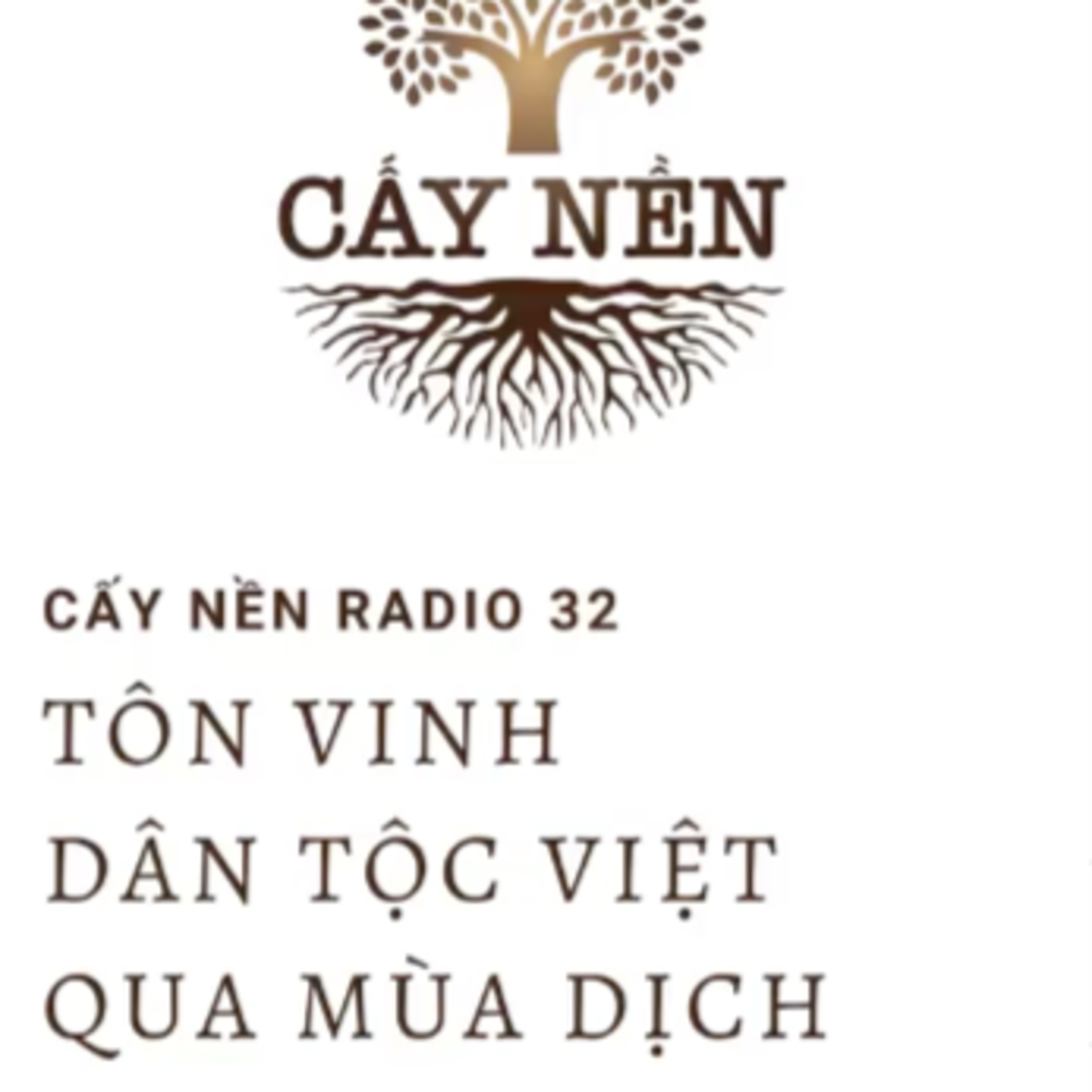 Cấy Nền Radio