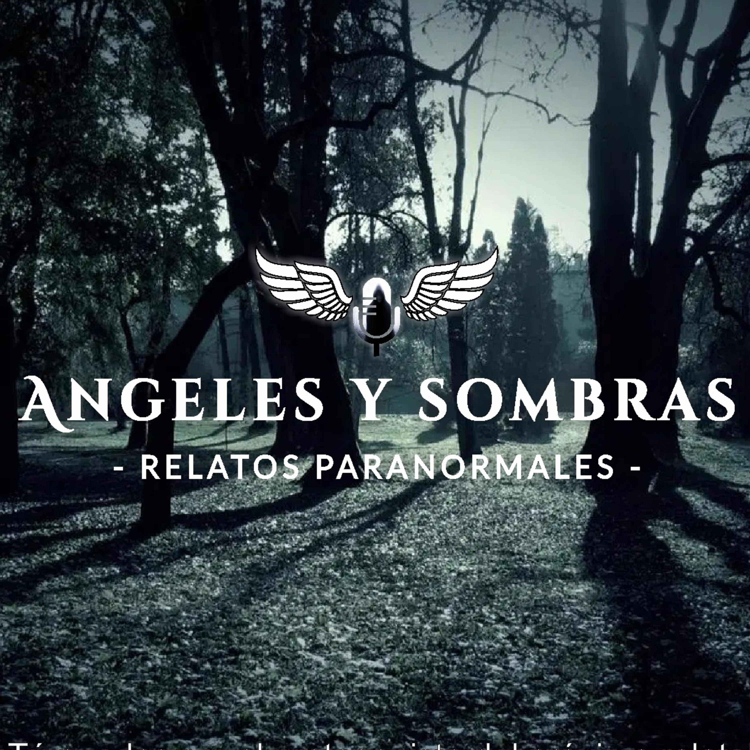 Bienvenidos a Ángeles y Sombras  episode artwork