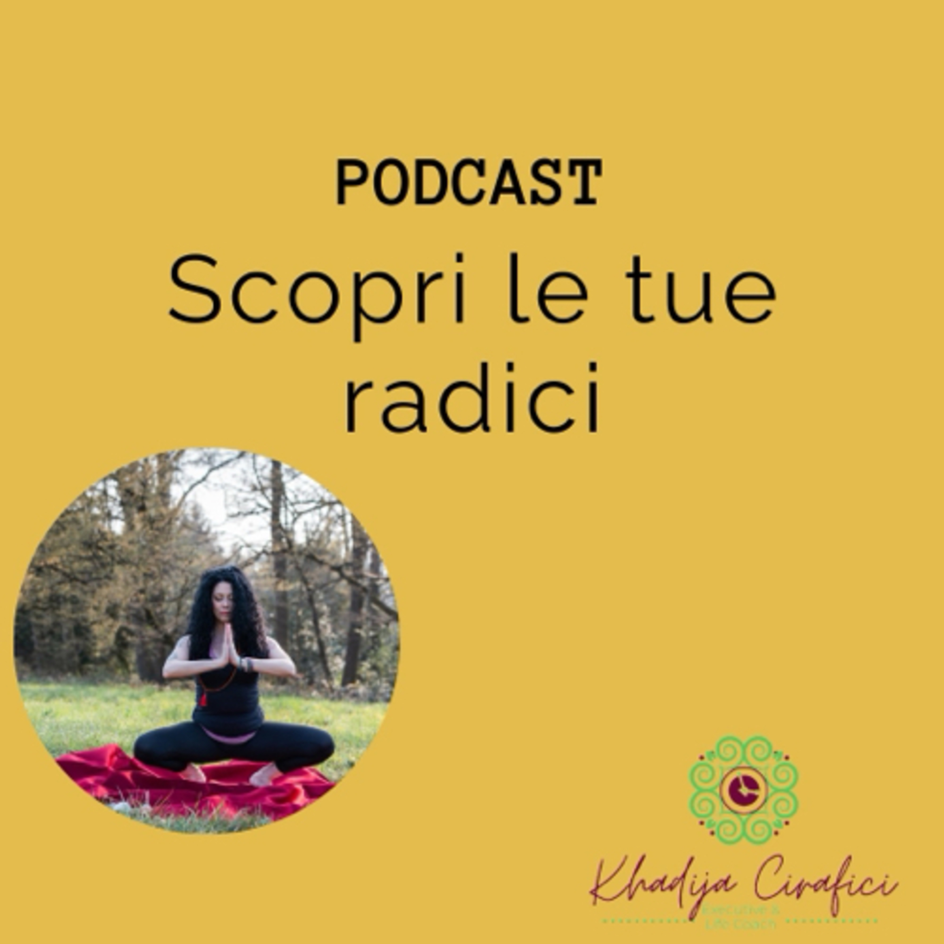 Scopri le tue radici episode artwork