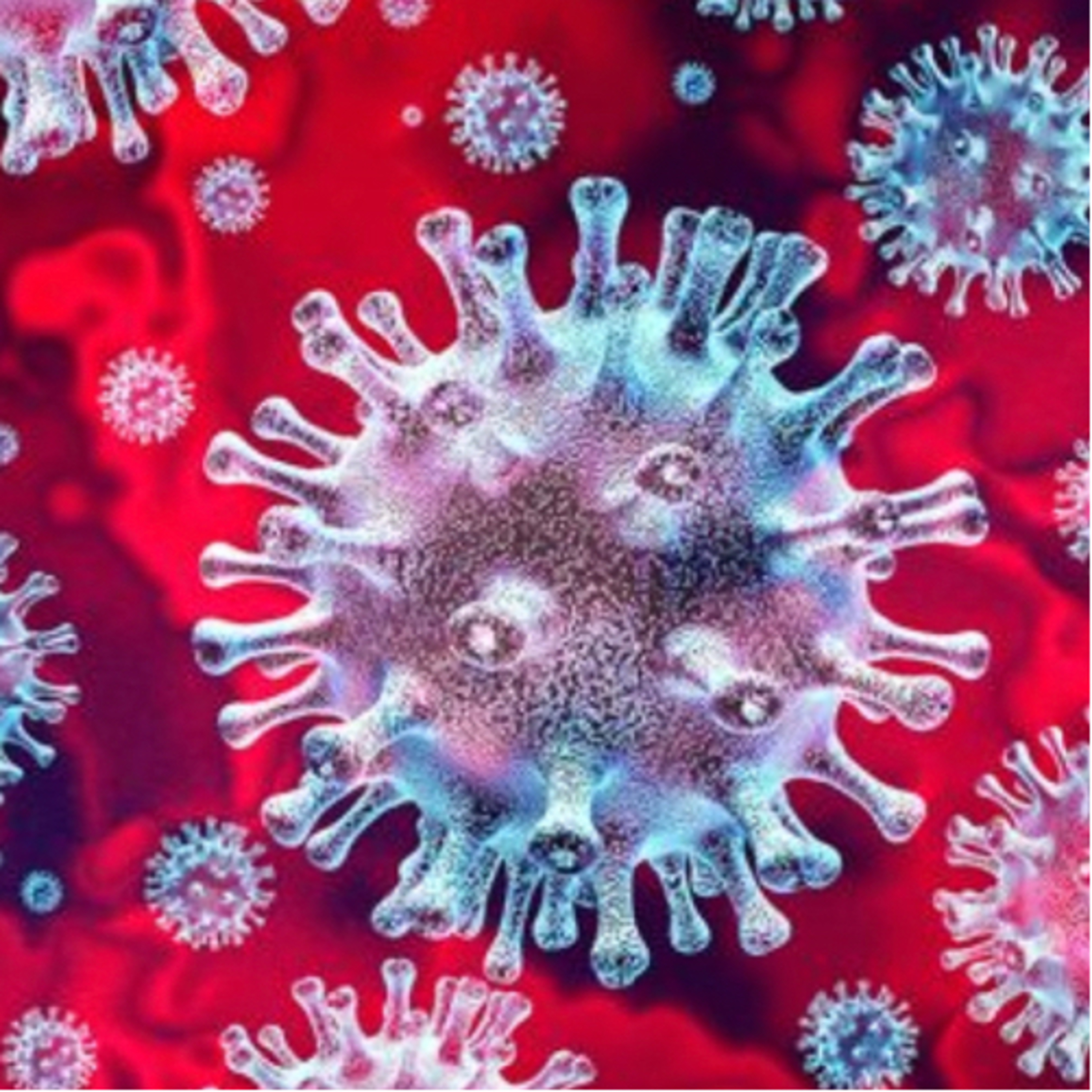 First podcast coronavirus issue