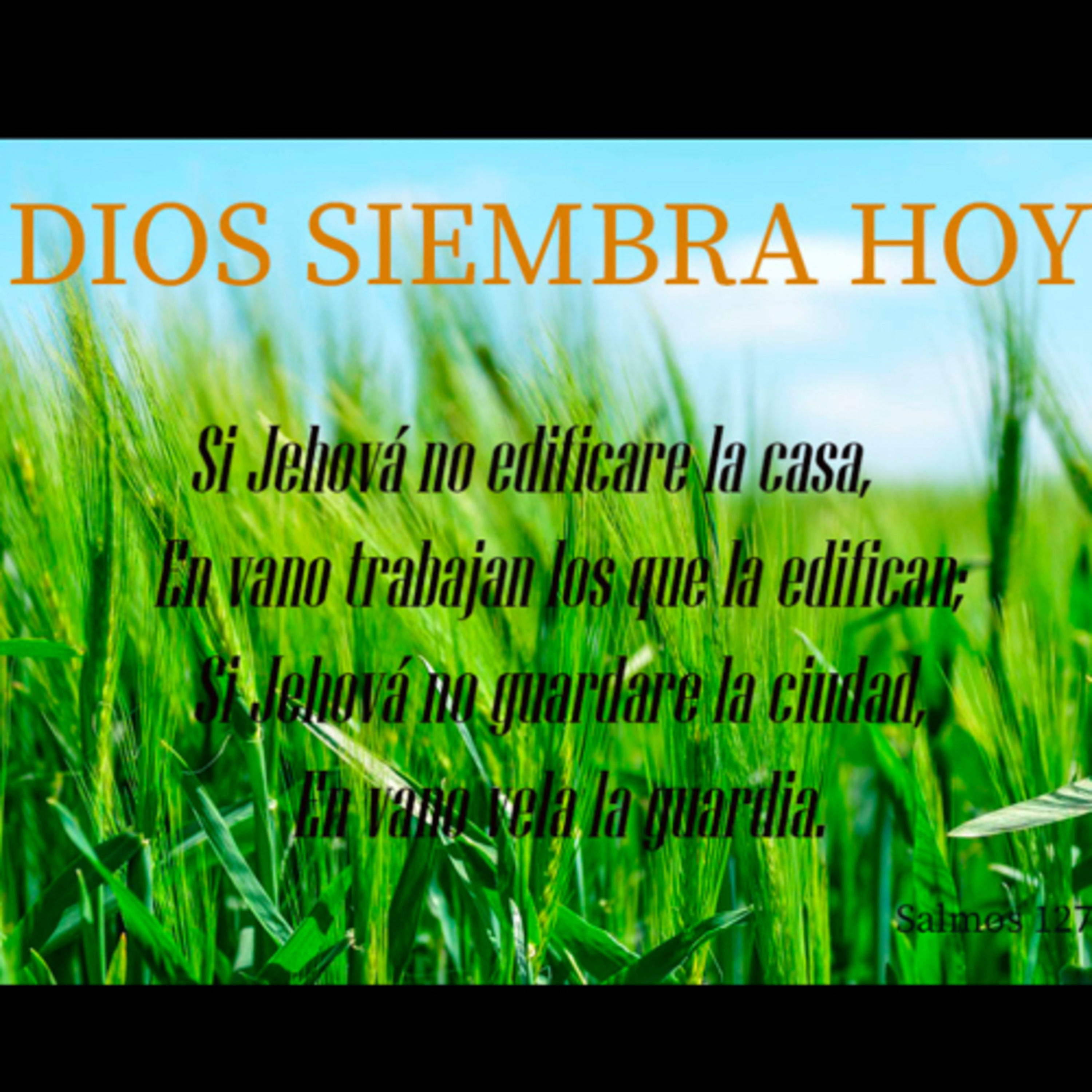 Pbro. Sebastián Frias Hdez.