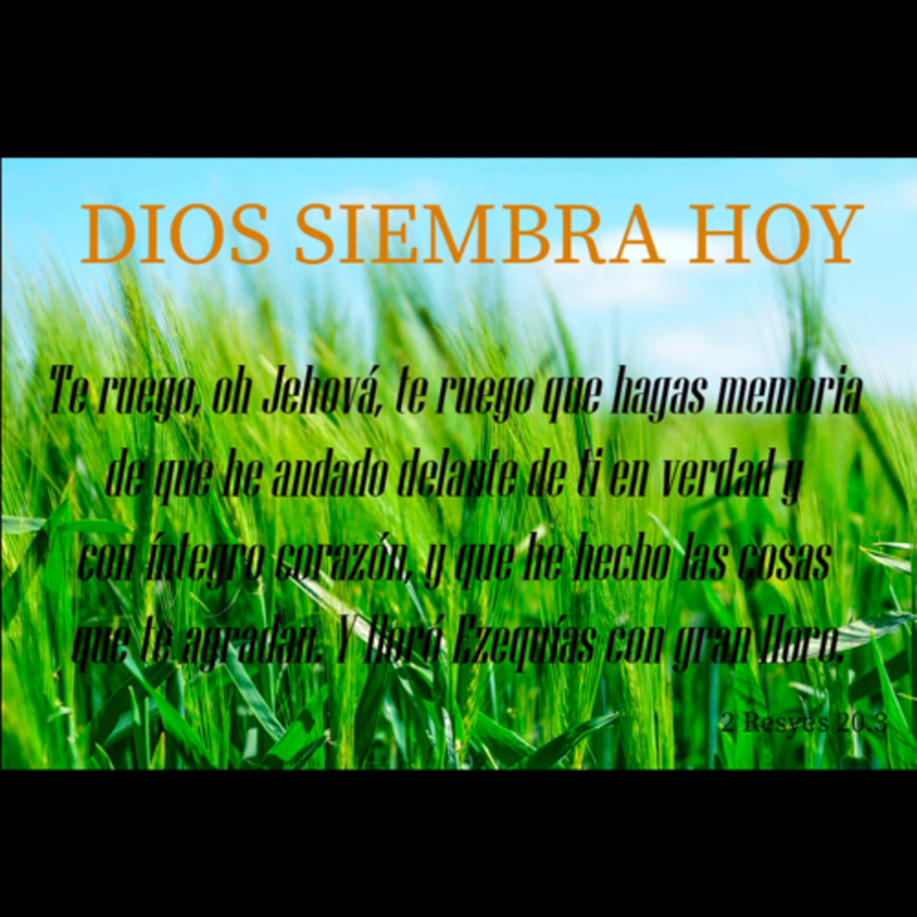 Pbro. Sebastián Frias Hdez.