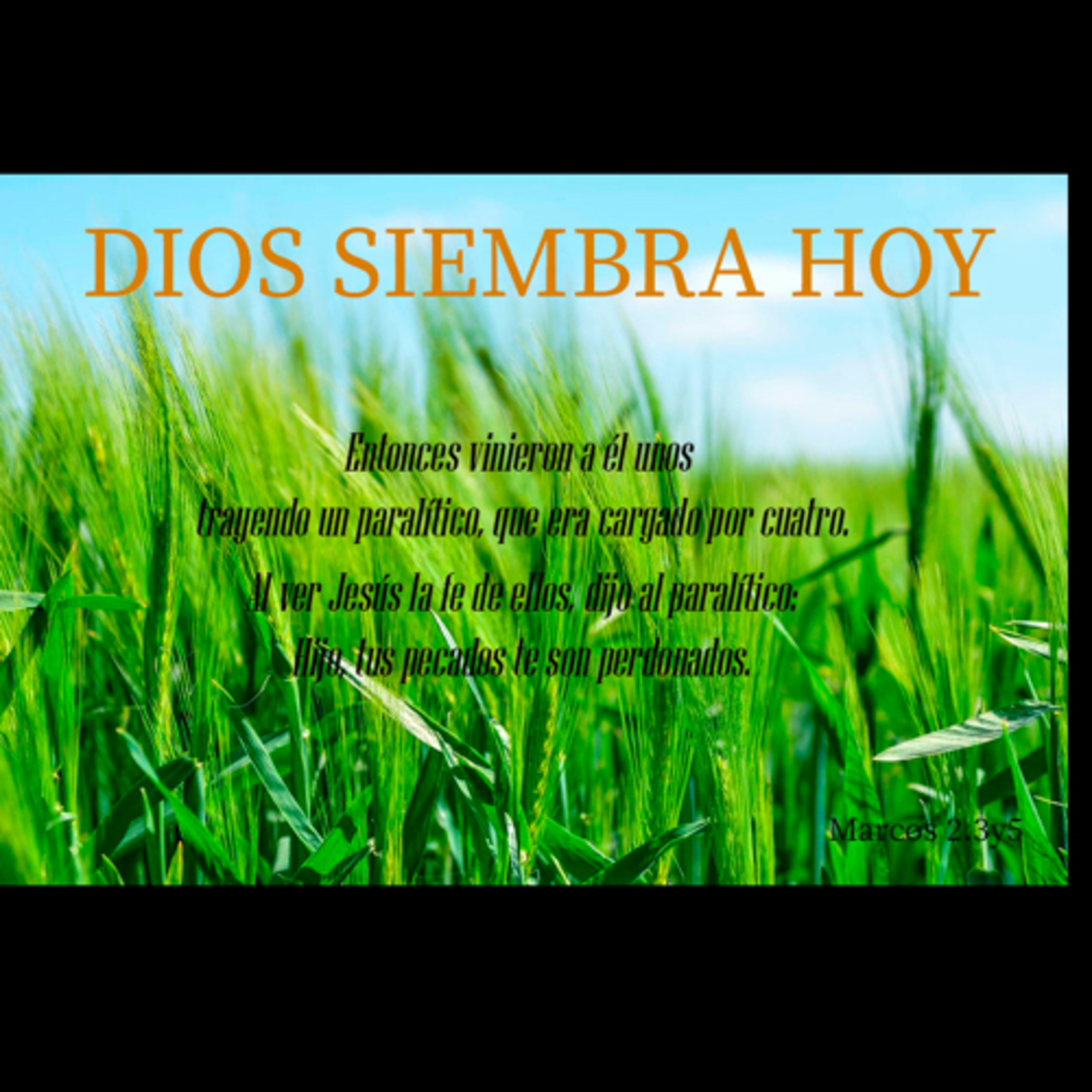 Pbro. Sebastián Frias Hdez.