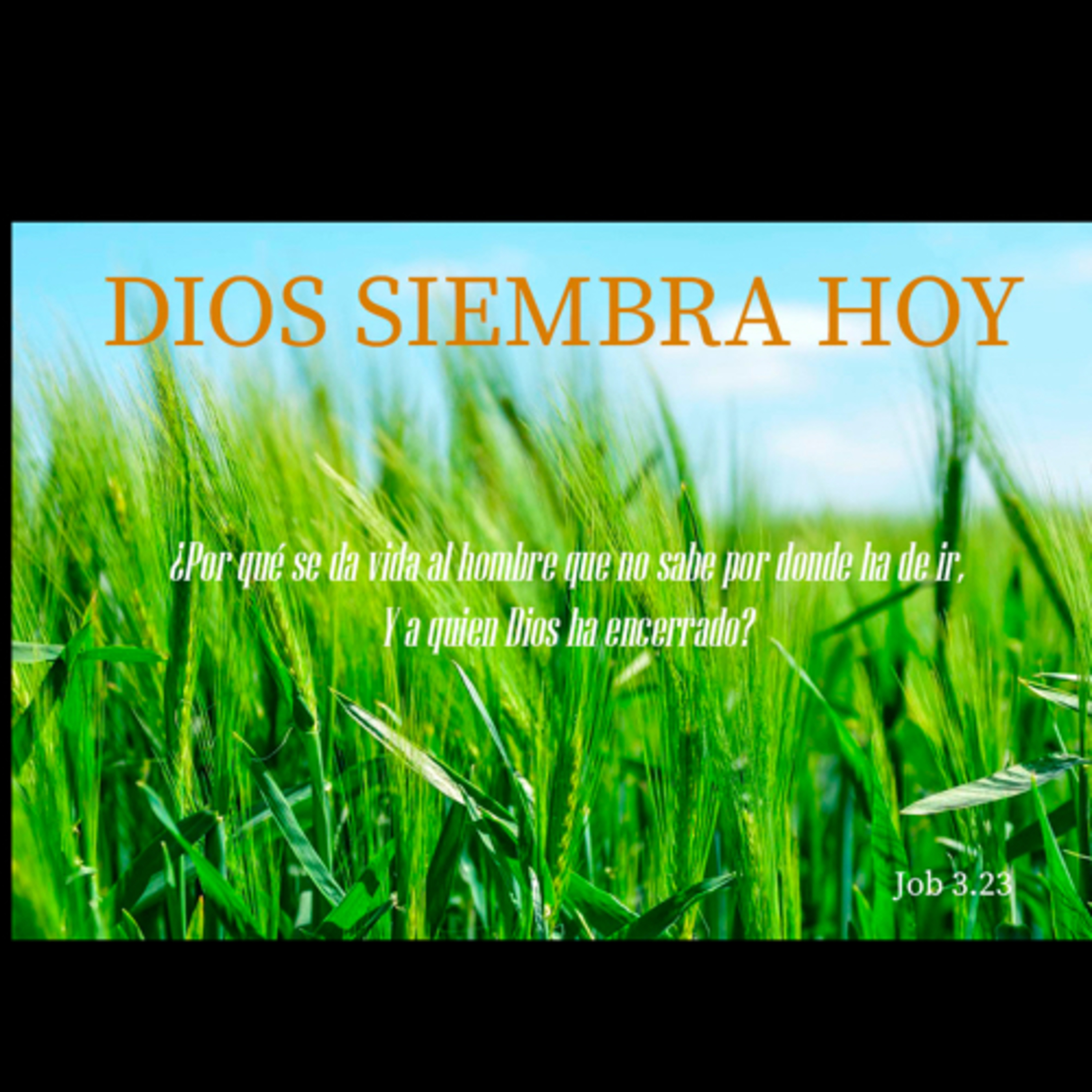 Pbro. Sebastián Frias Hdez.