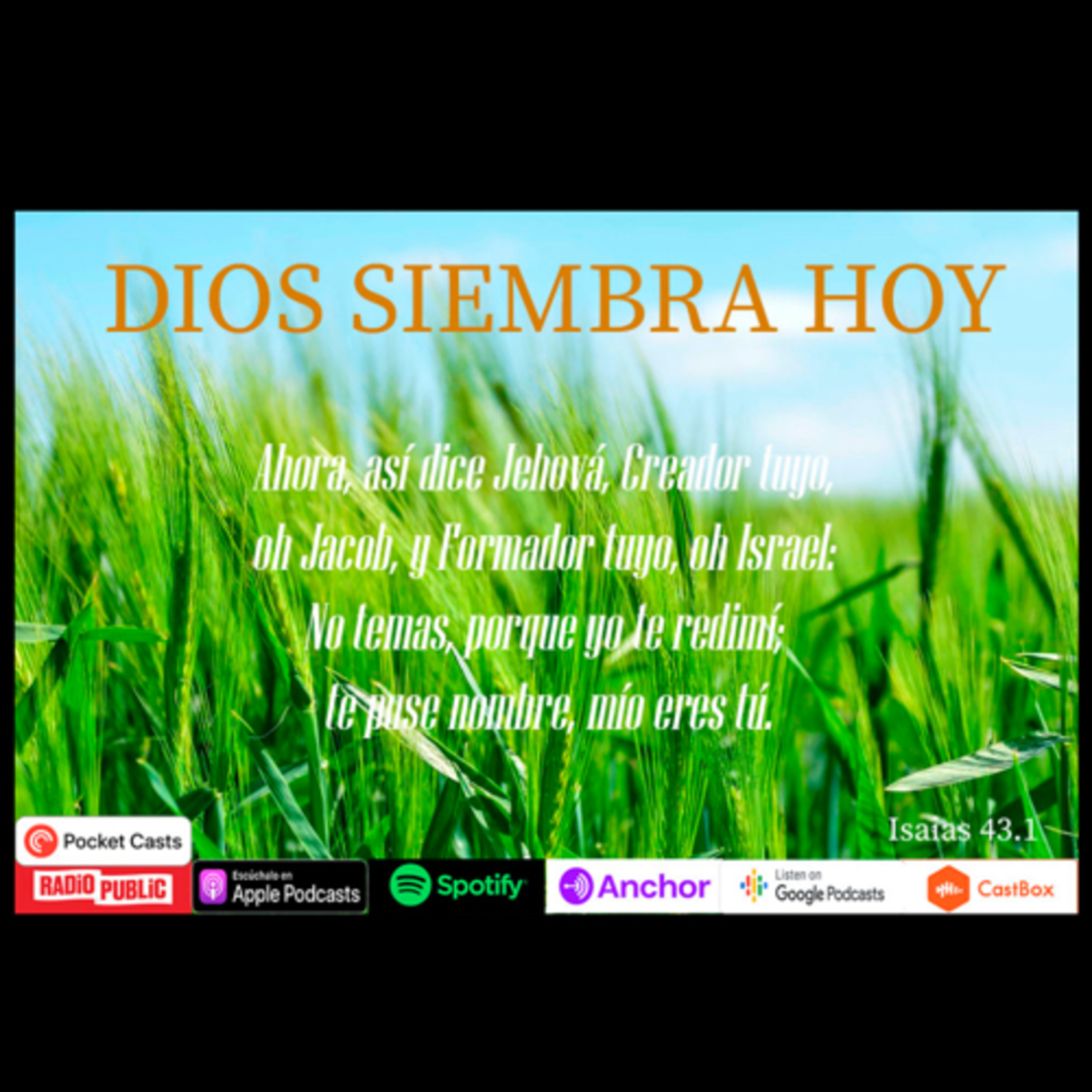 Pbro. Sebastián Frias Hdez.