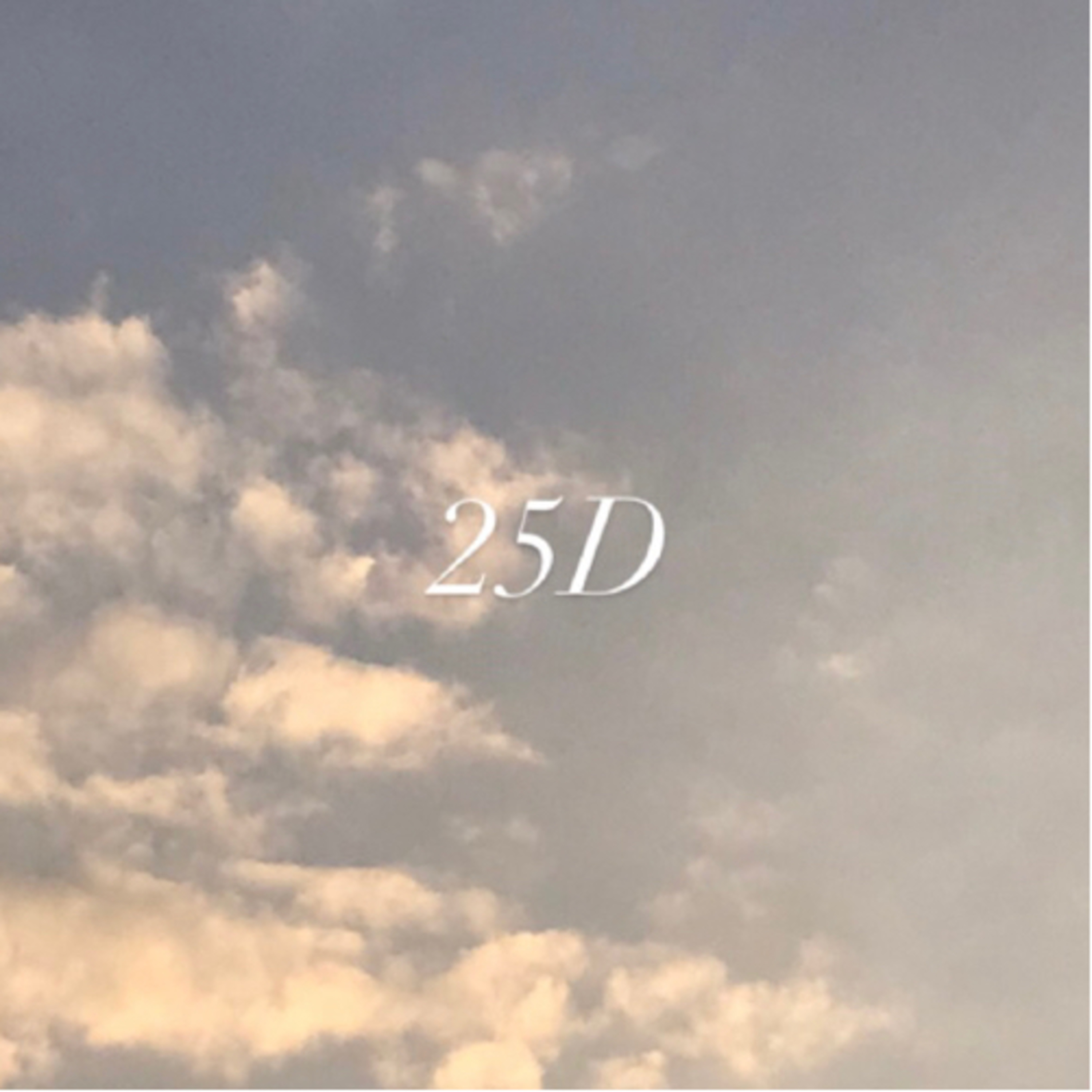 25D