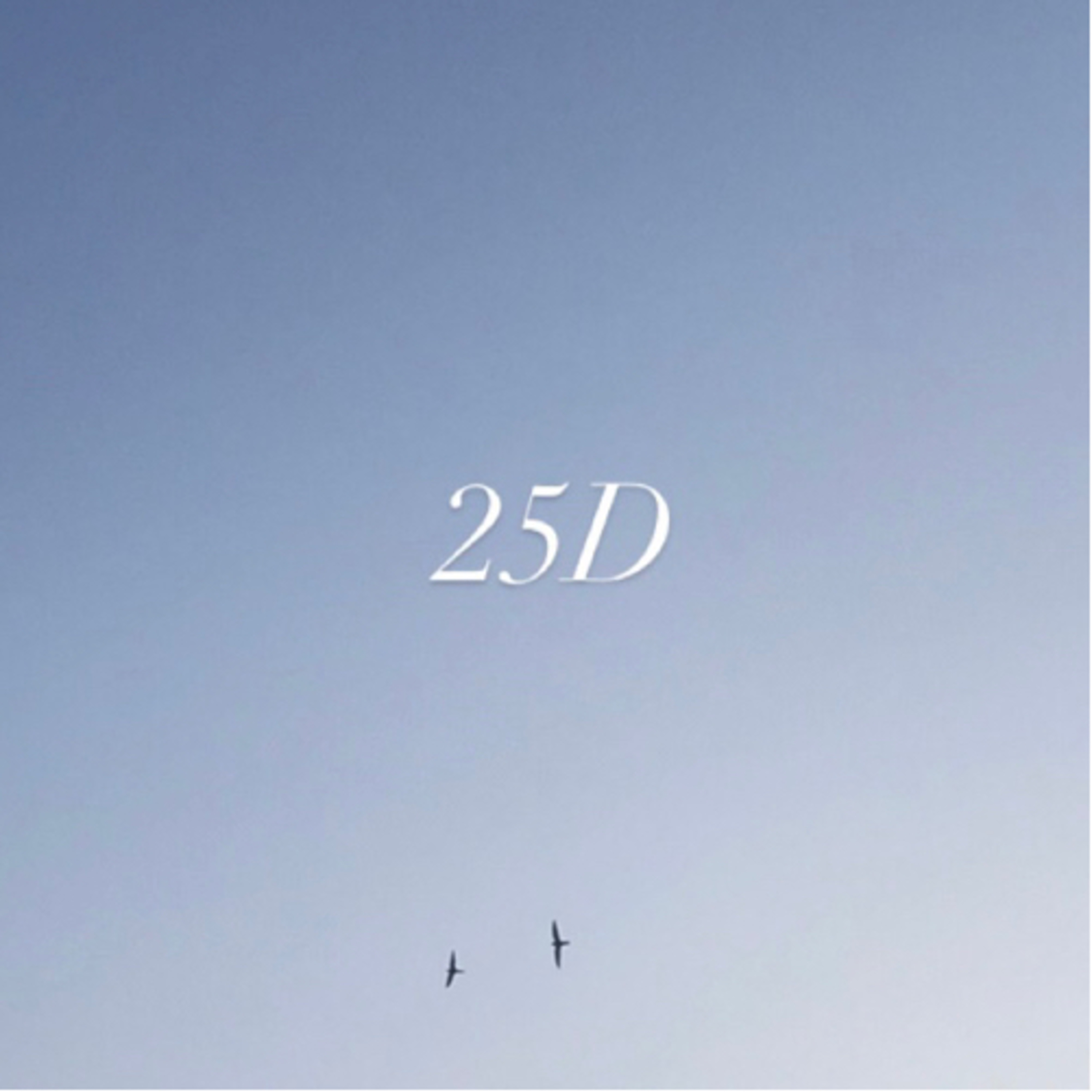 25D