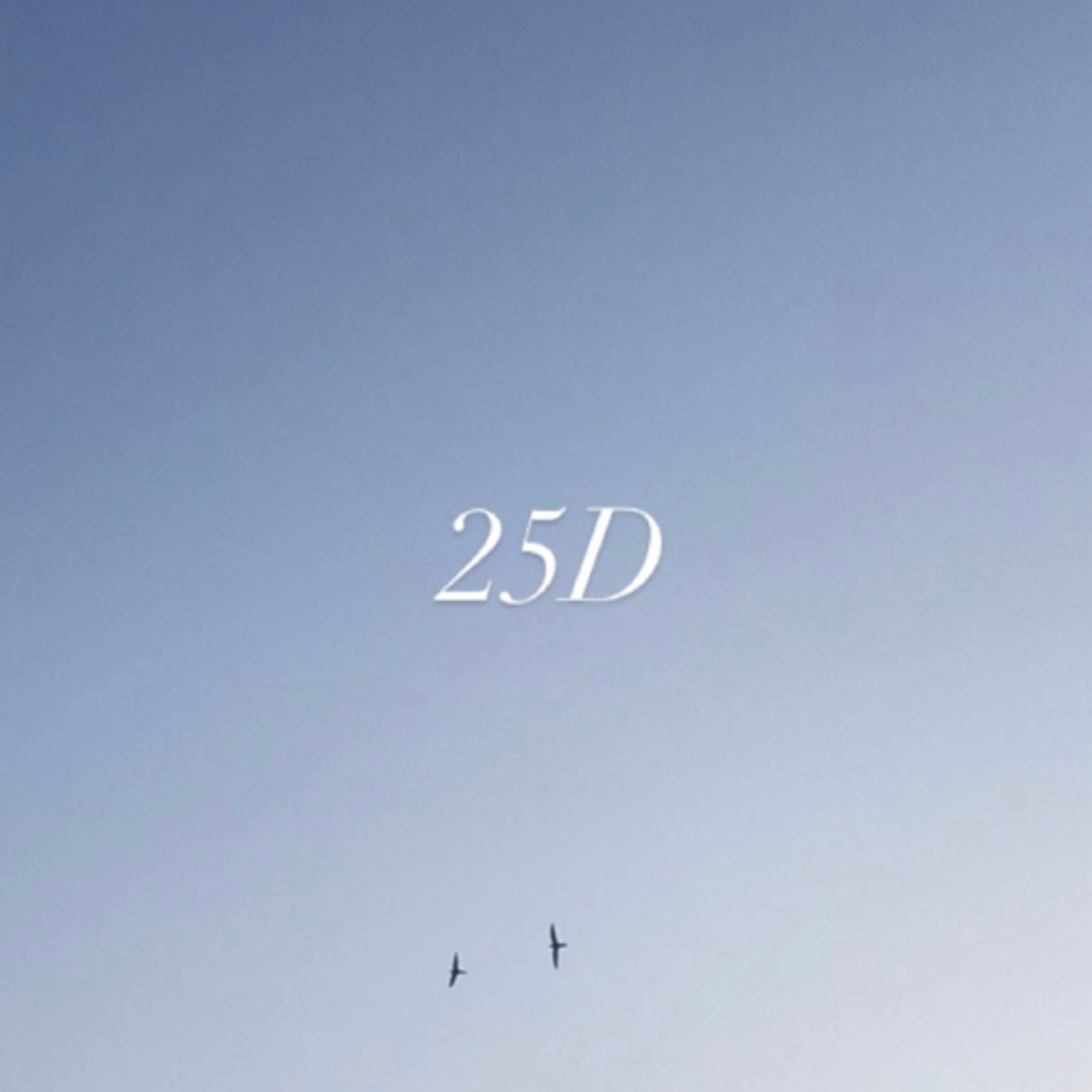 25D