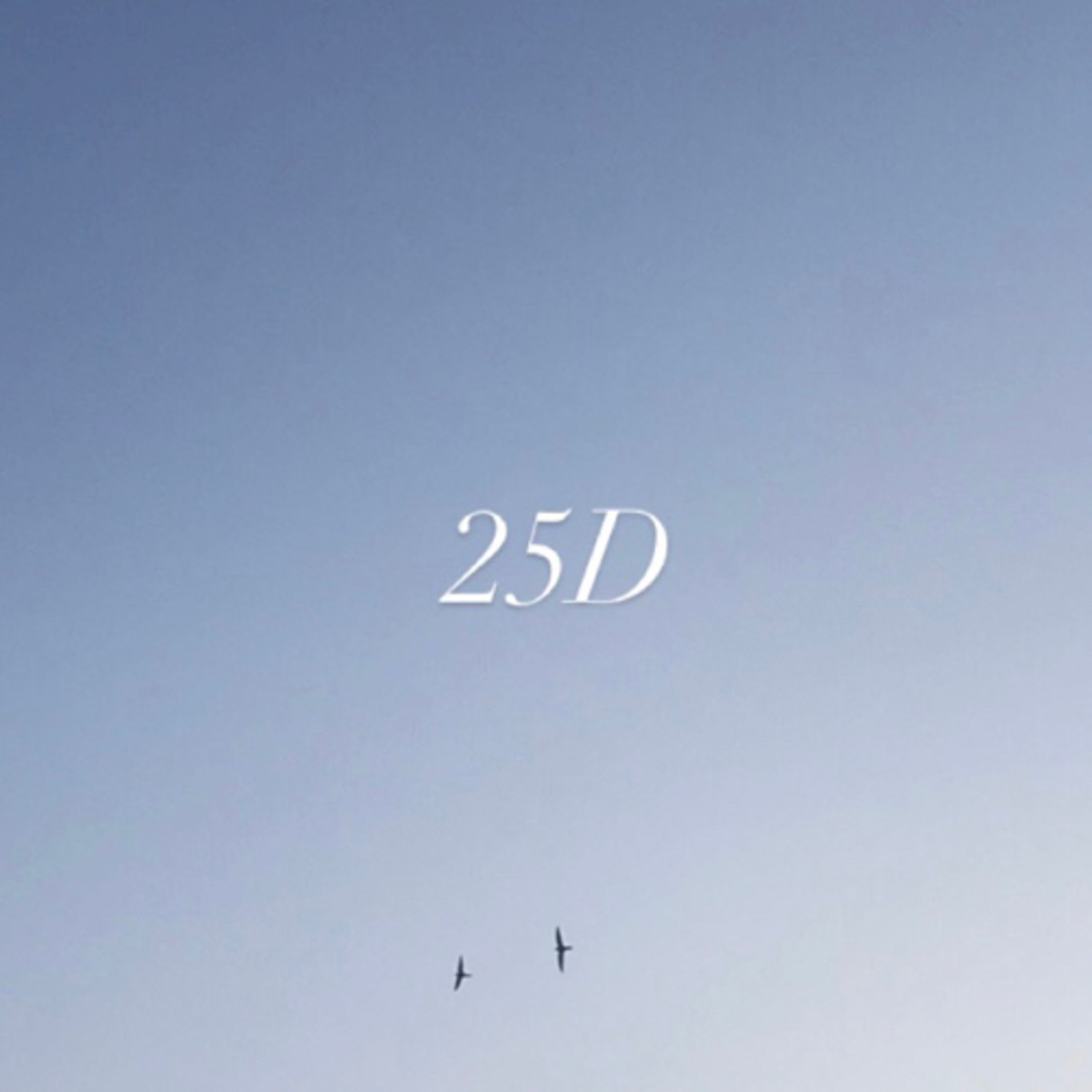 25D