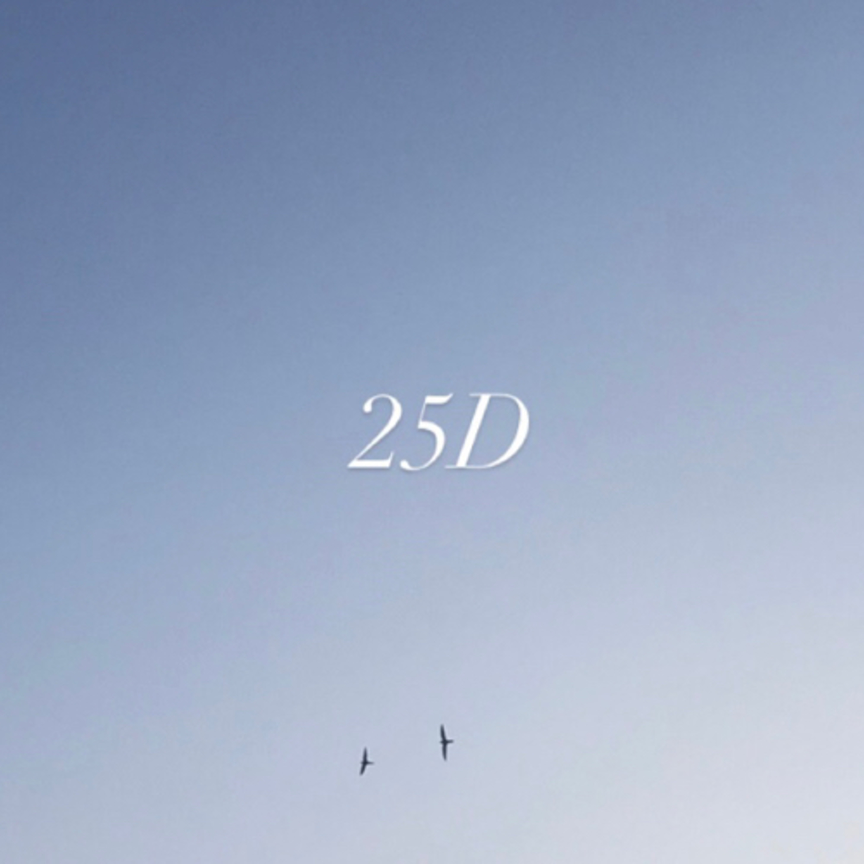 25D