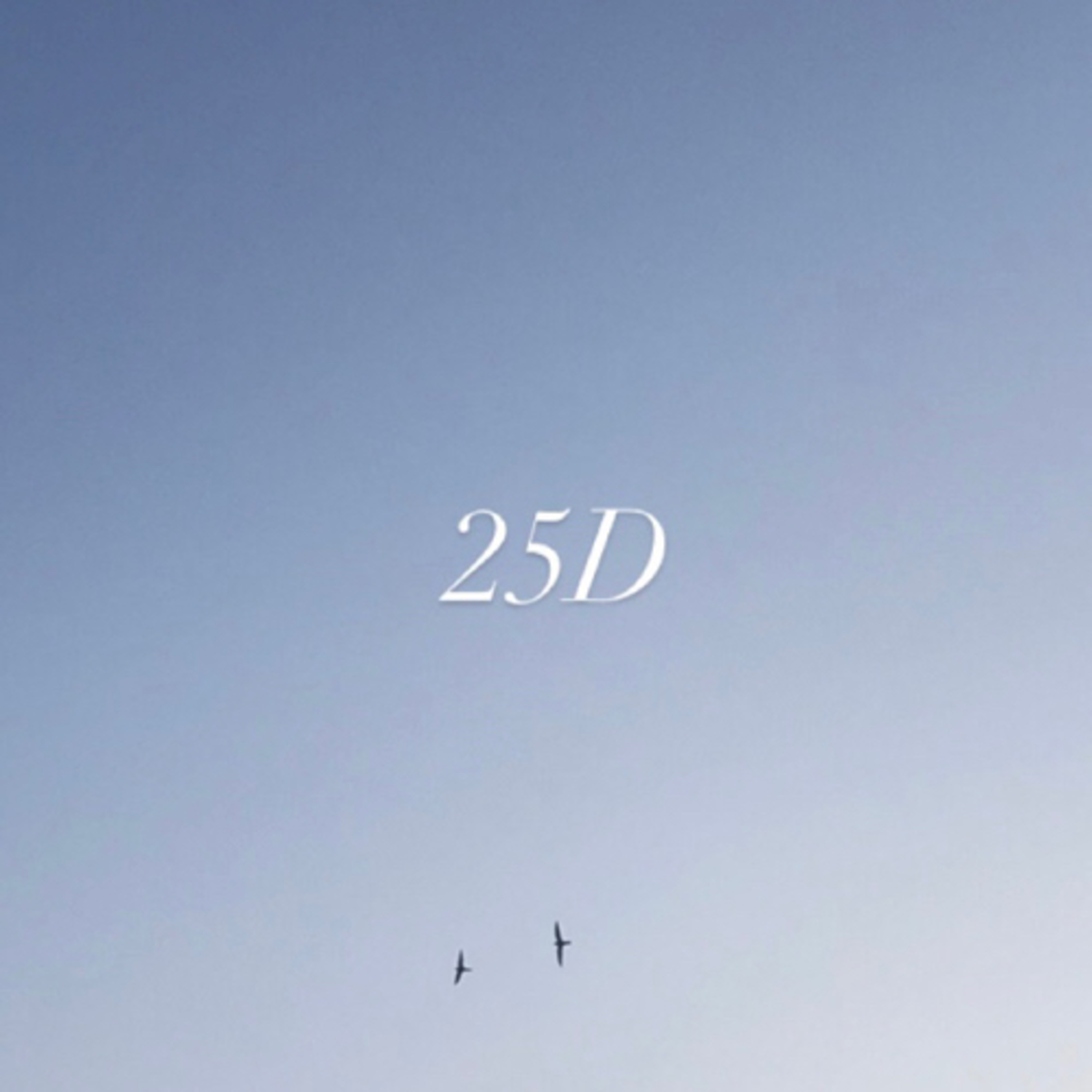 25D