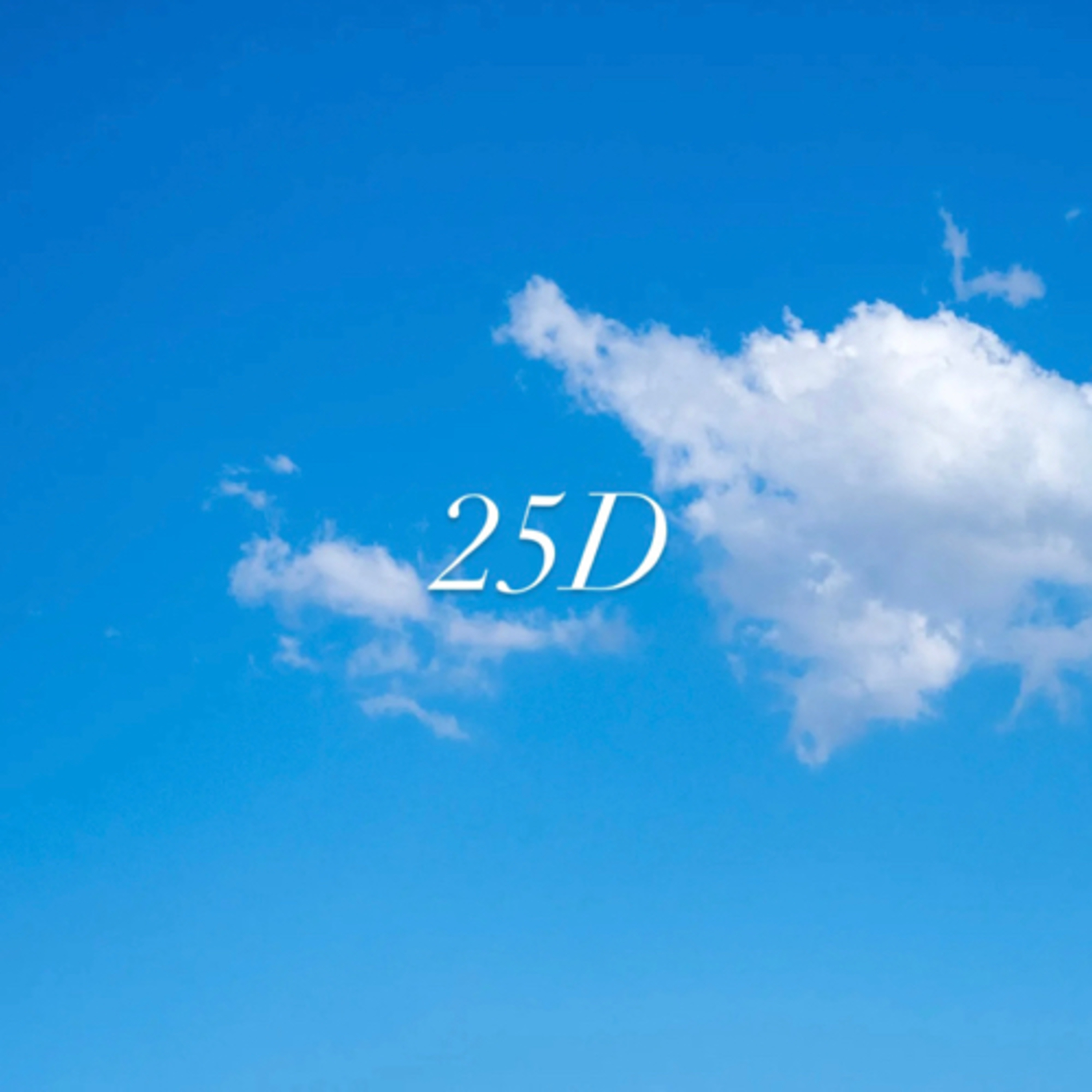 25D