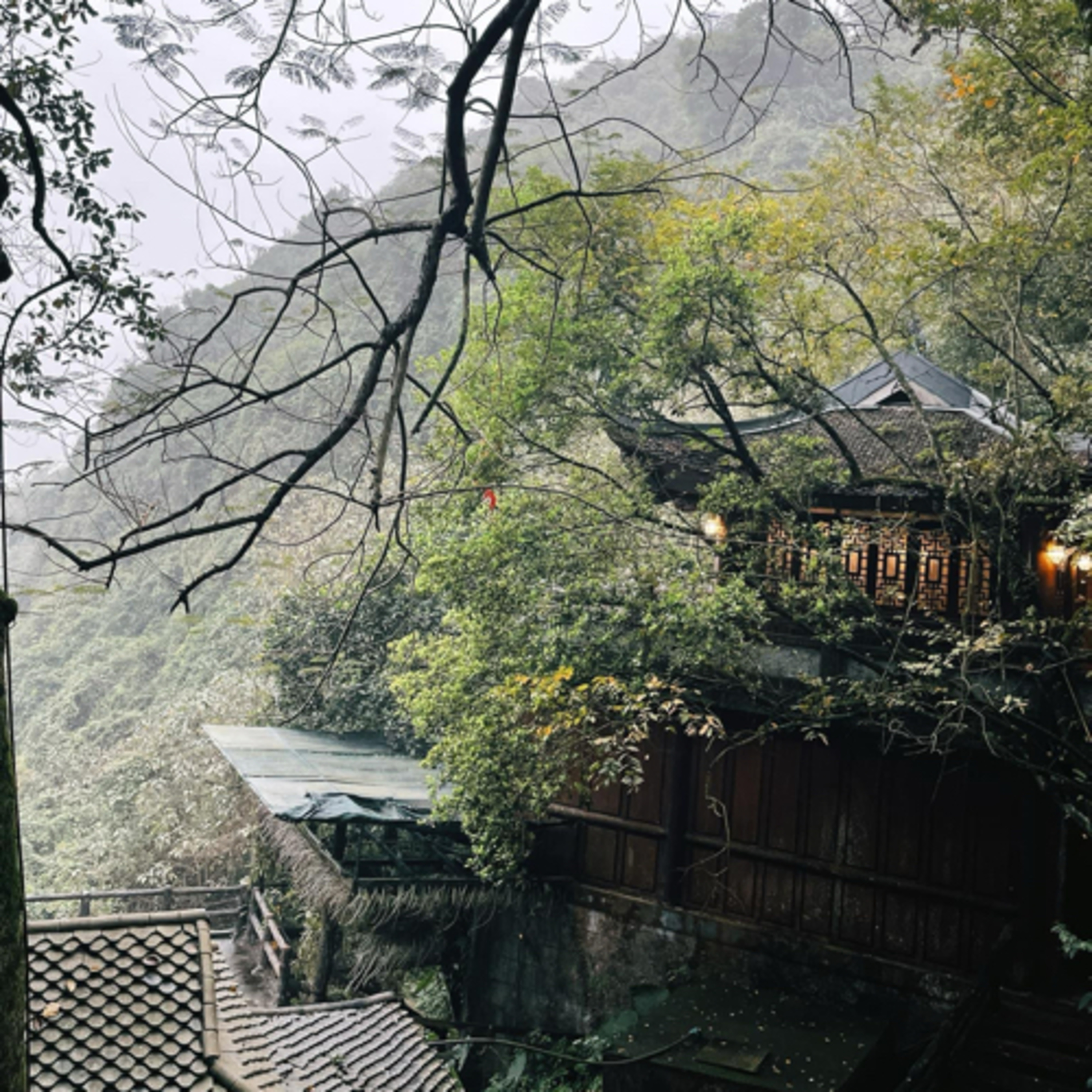 #39 Hành trình sửa mình để trở thành một người con ngoan episode artwork
