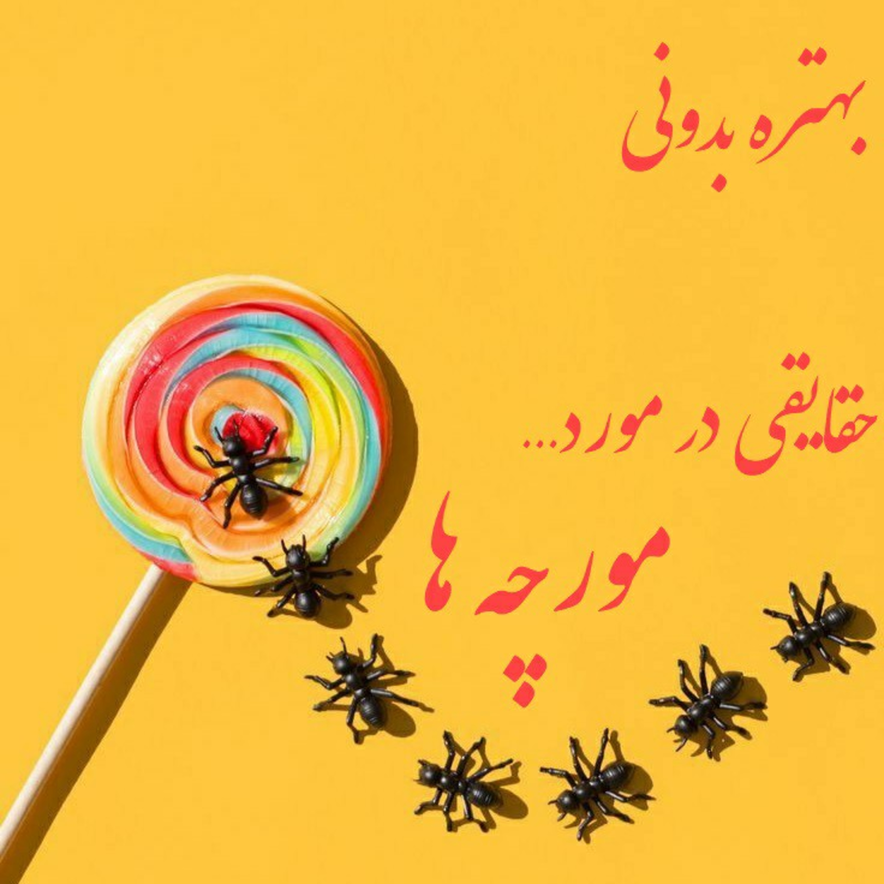 کاور اپیزود سوم-حقایقی درمورد مورچه ها