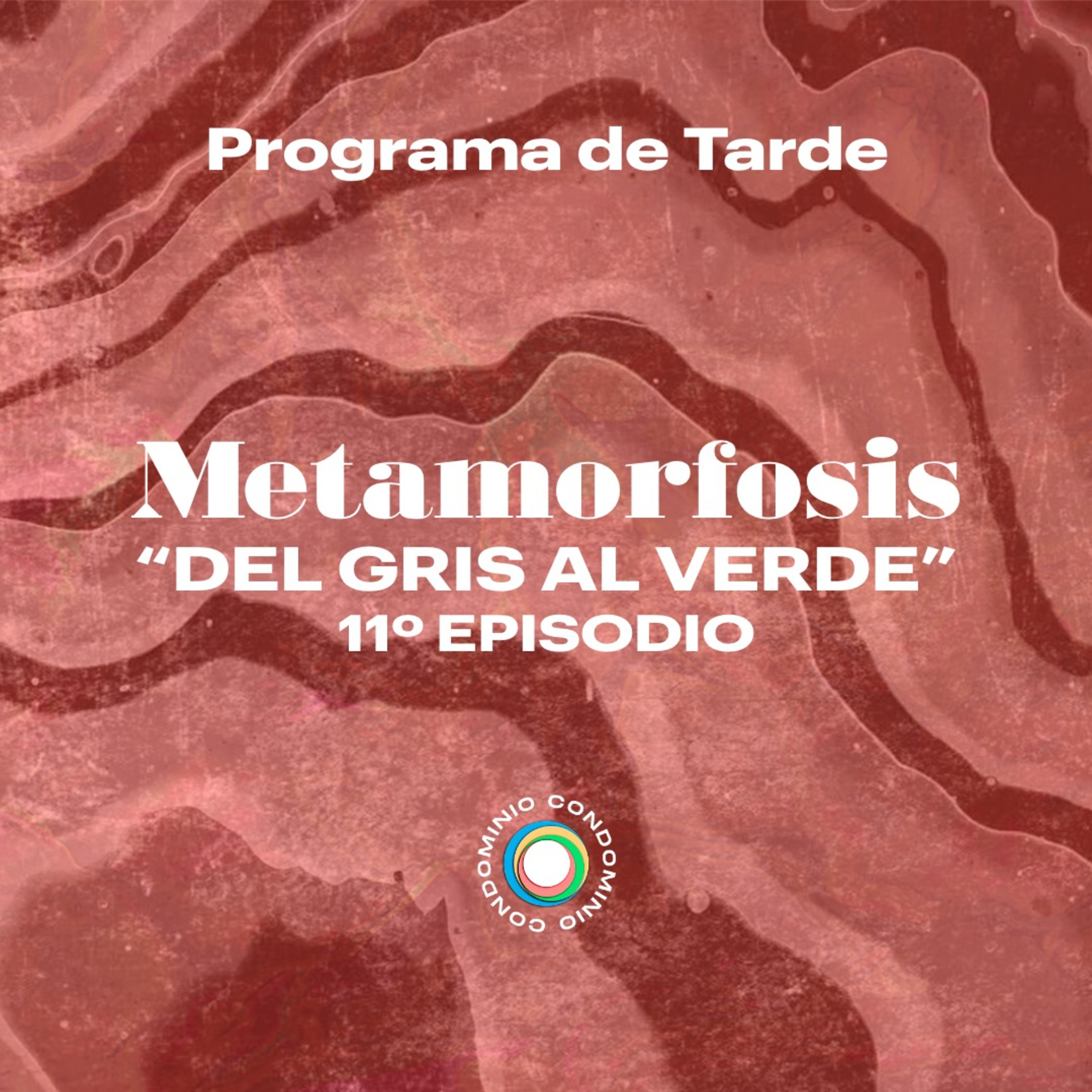 Del gris al verde - Cristina Arriola, Directora de Diseño y Comunicaciones episode artwork