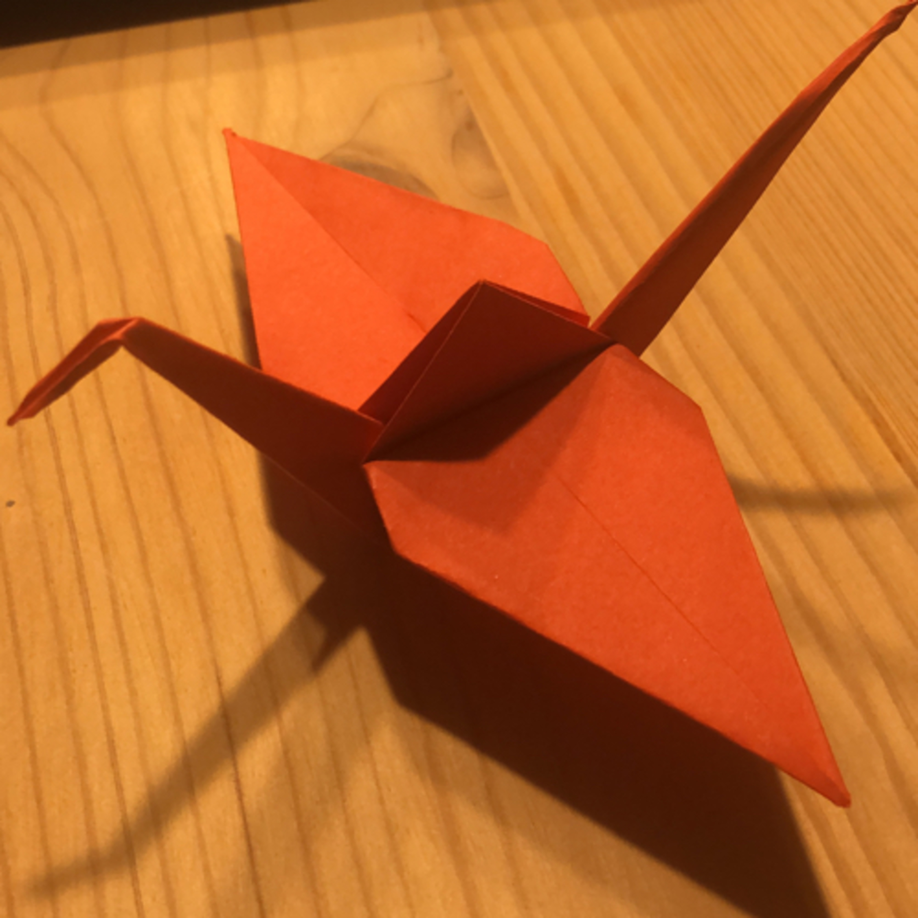 Episode 5 - Newsverglich, Bill Gates und Büacher