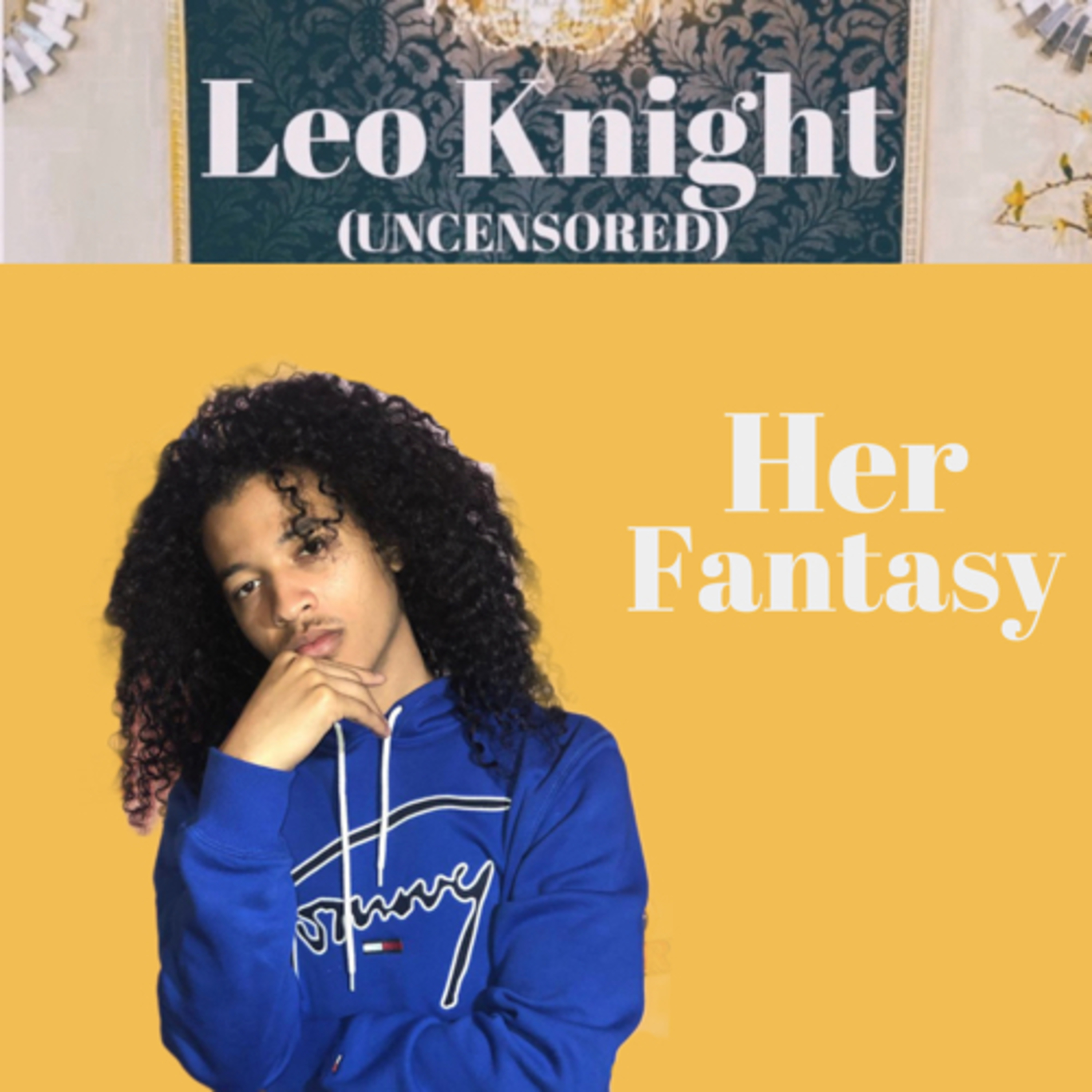 Her fantasy episode artwork