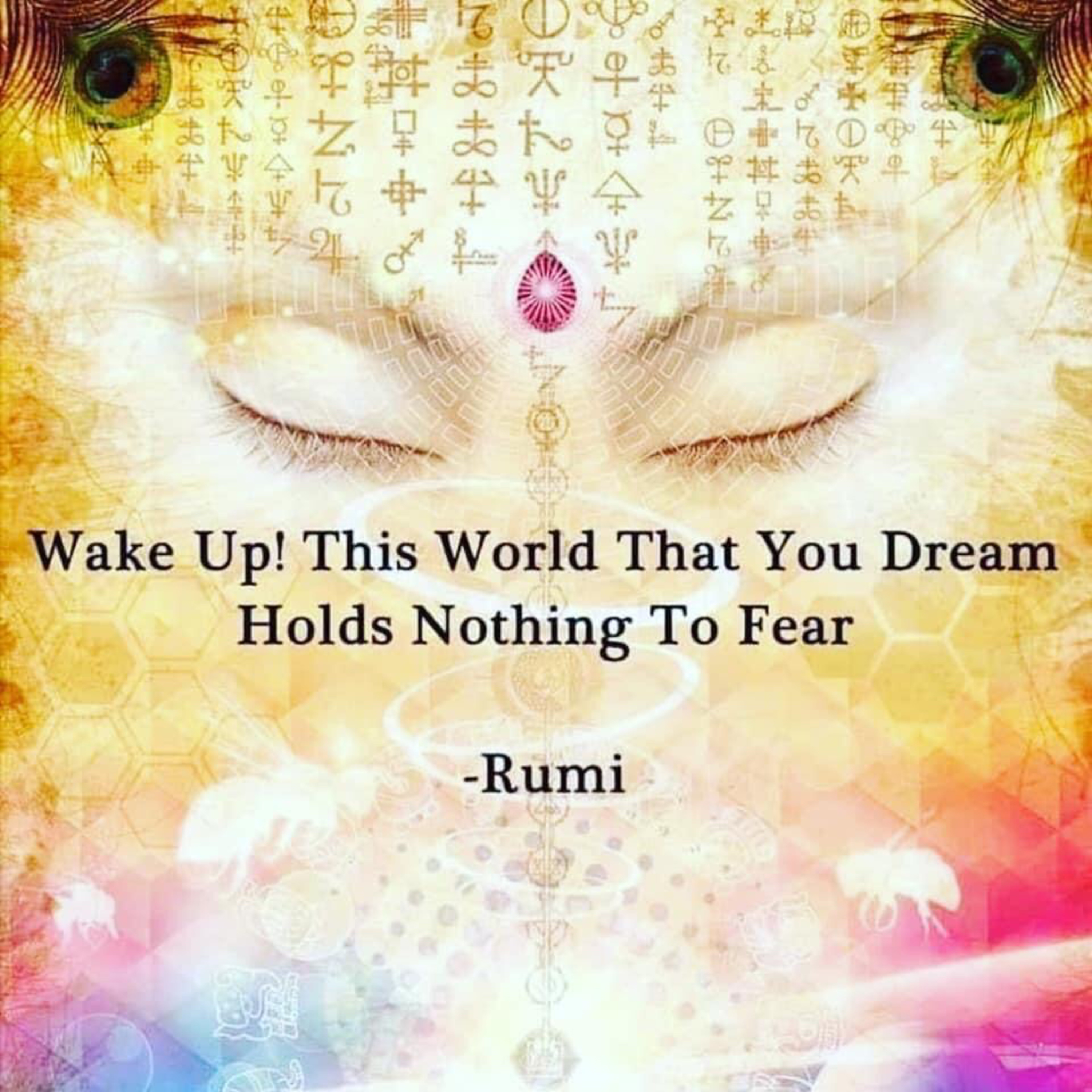 The Wake Up