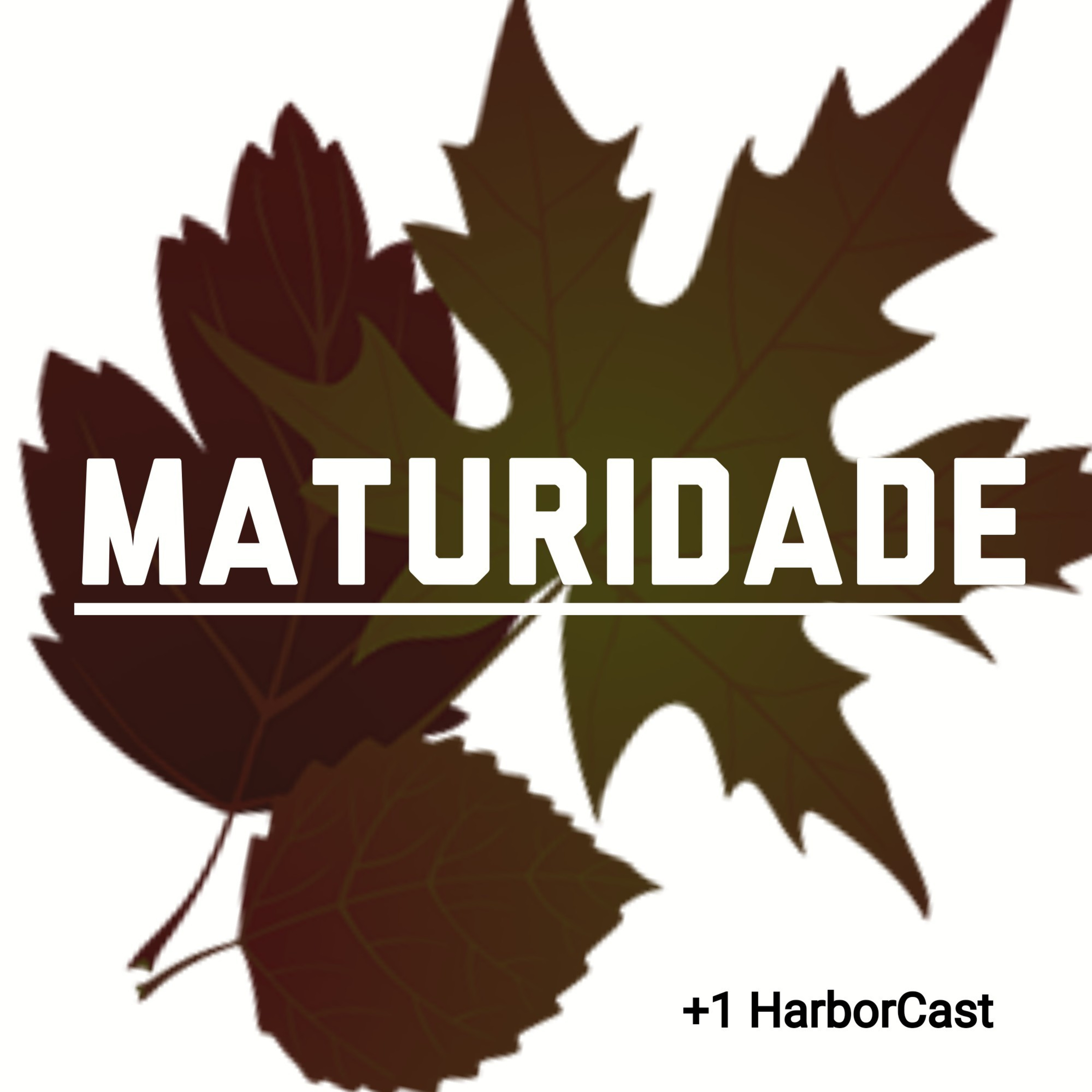 +1 Podcast