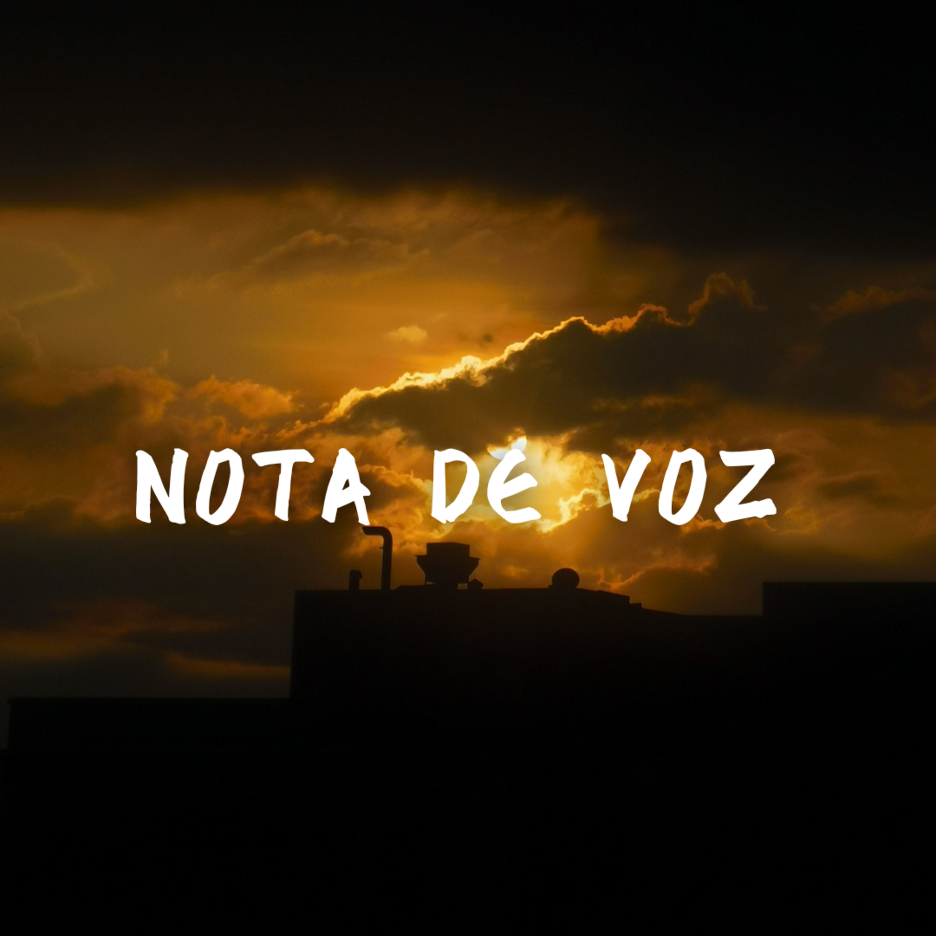 SEGUIR LA LUZ