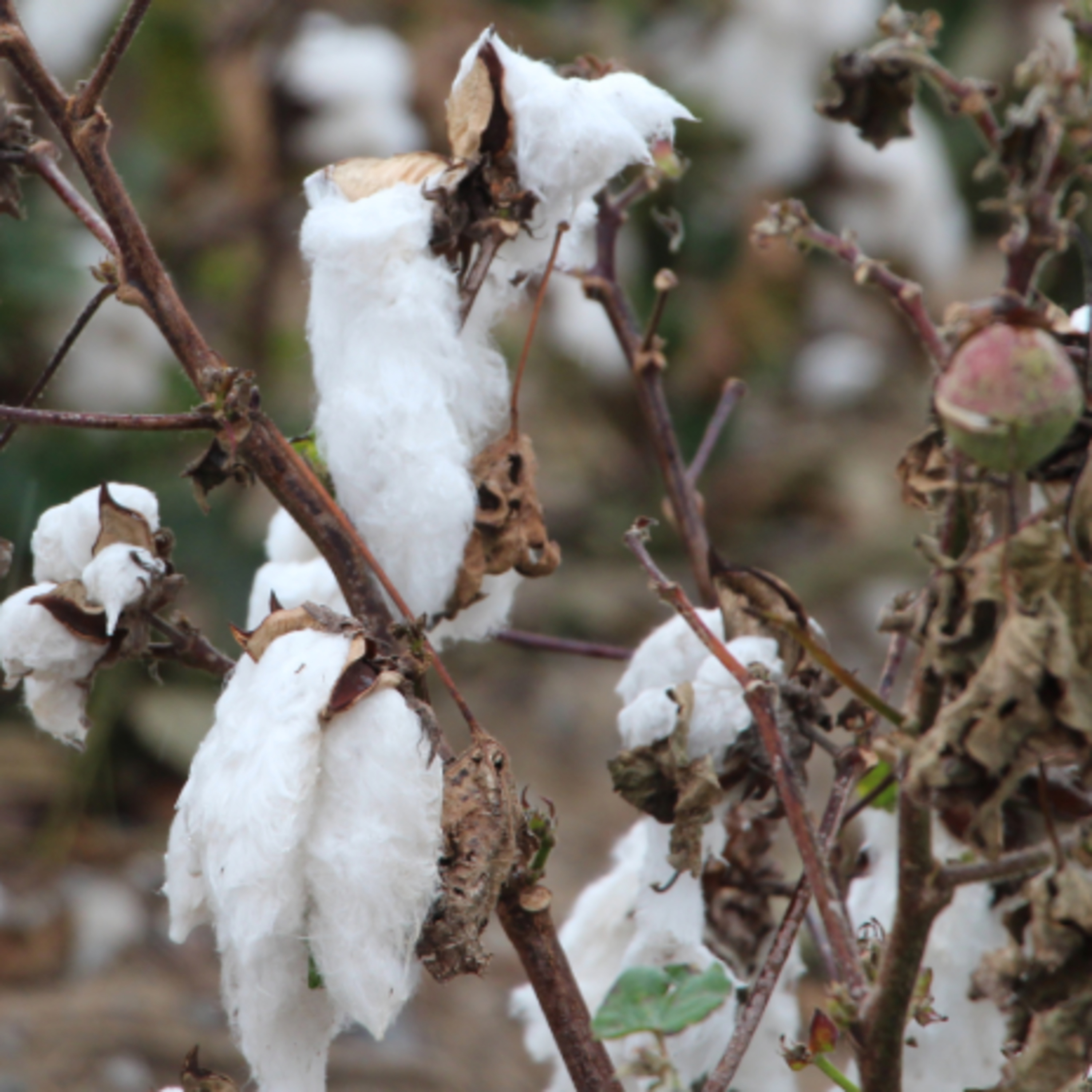Call of the Week: The September Rain Delay