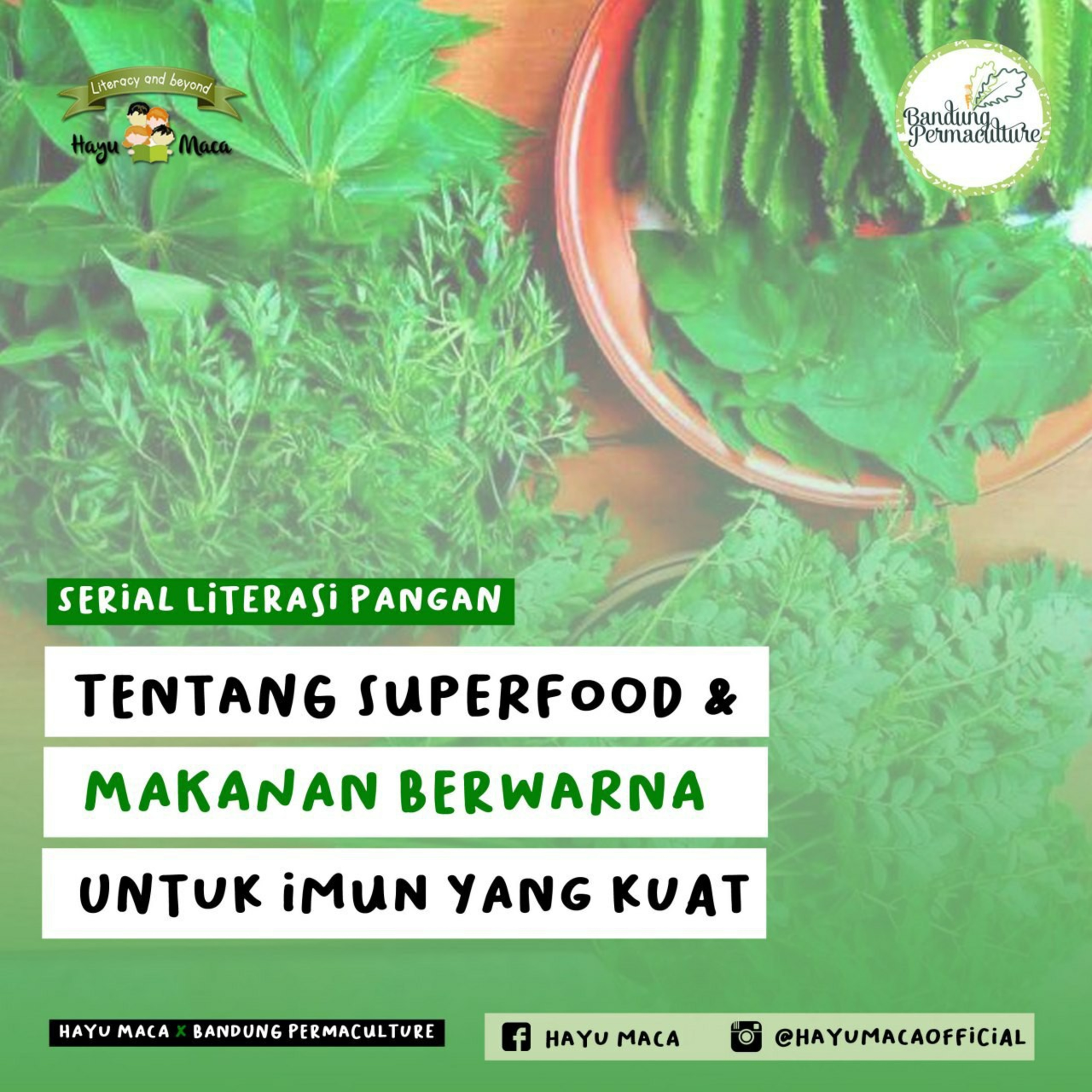 Podcast Hayu Maca