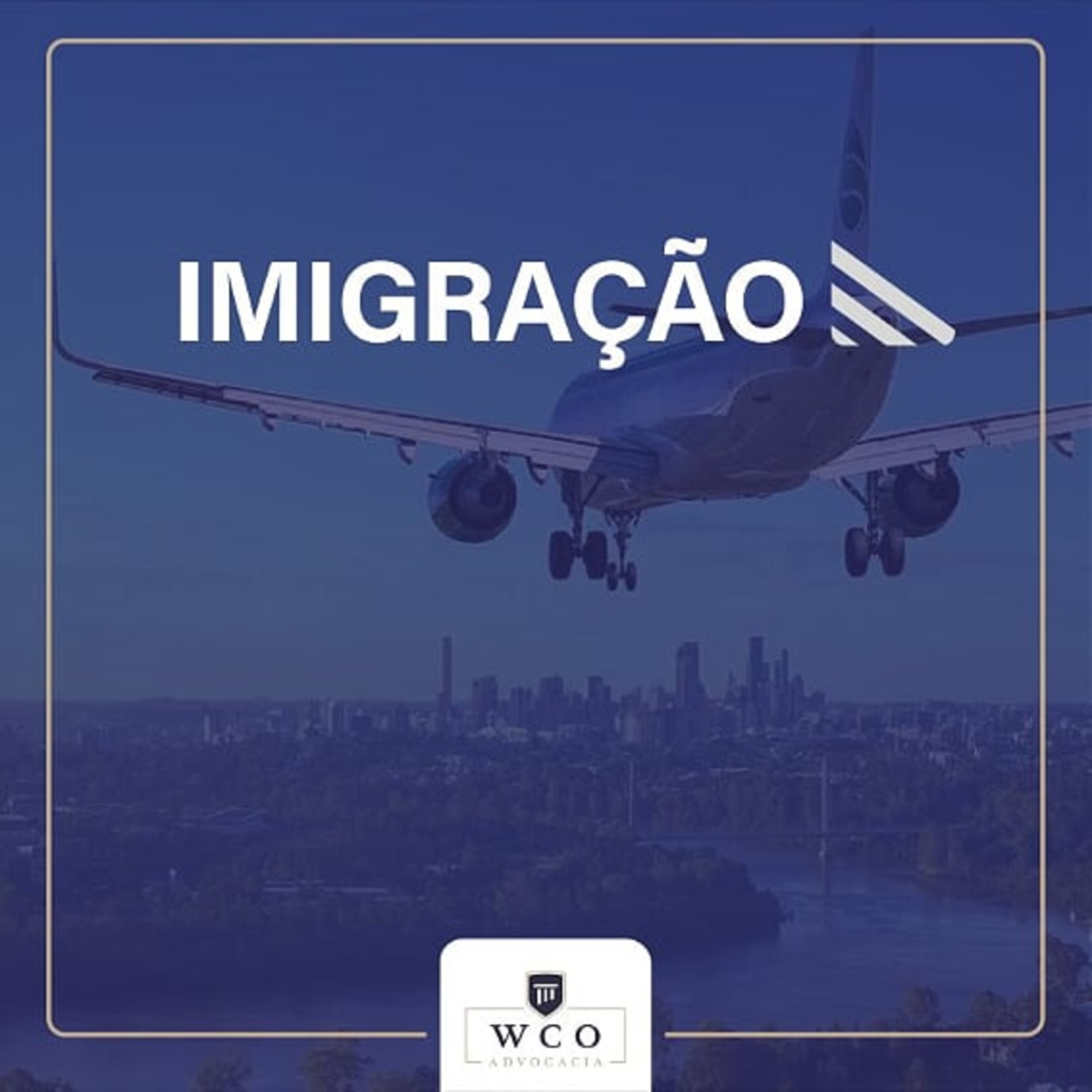 Advocacia Internacional