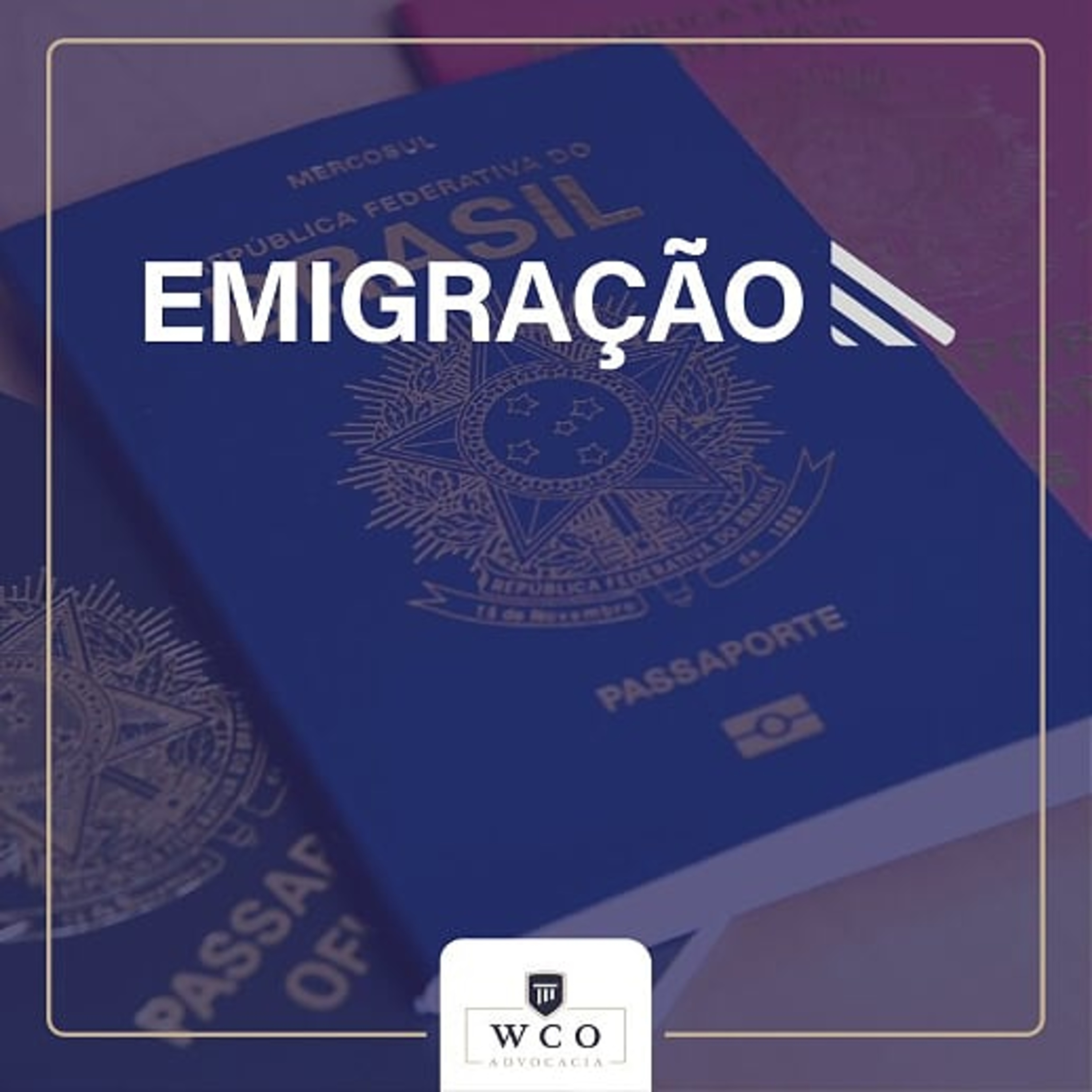 Advocacia Internacional