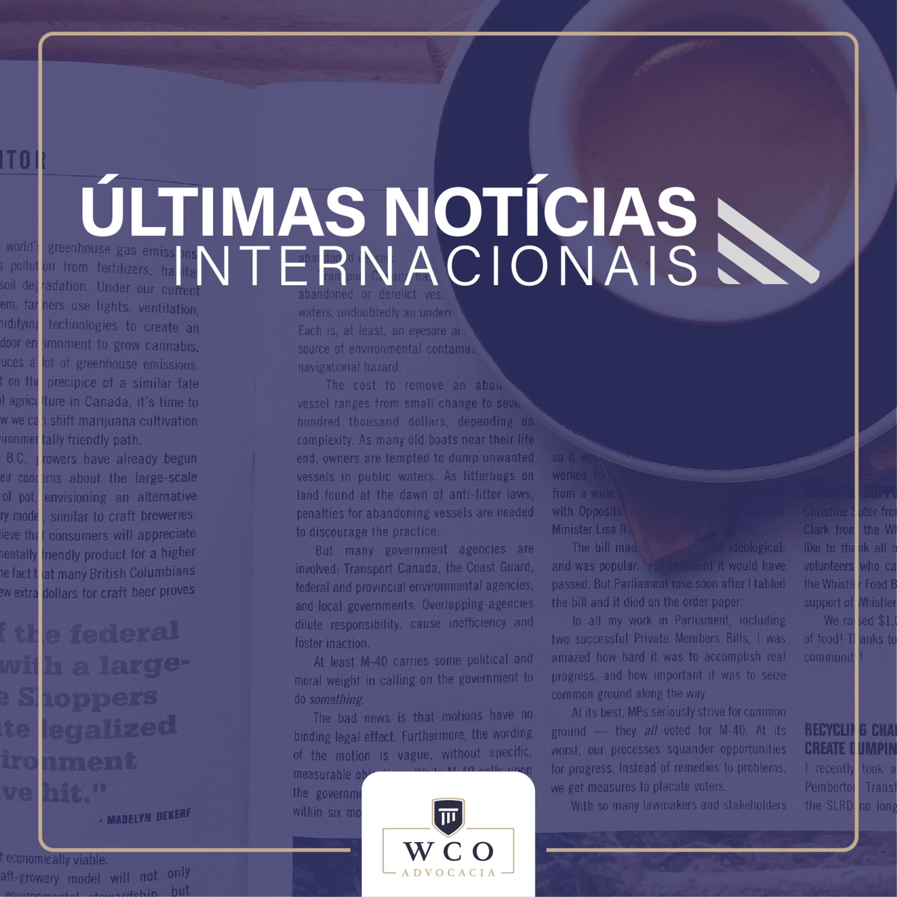 Advocacia Internacional