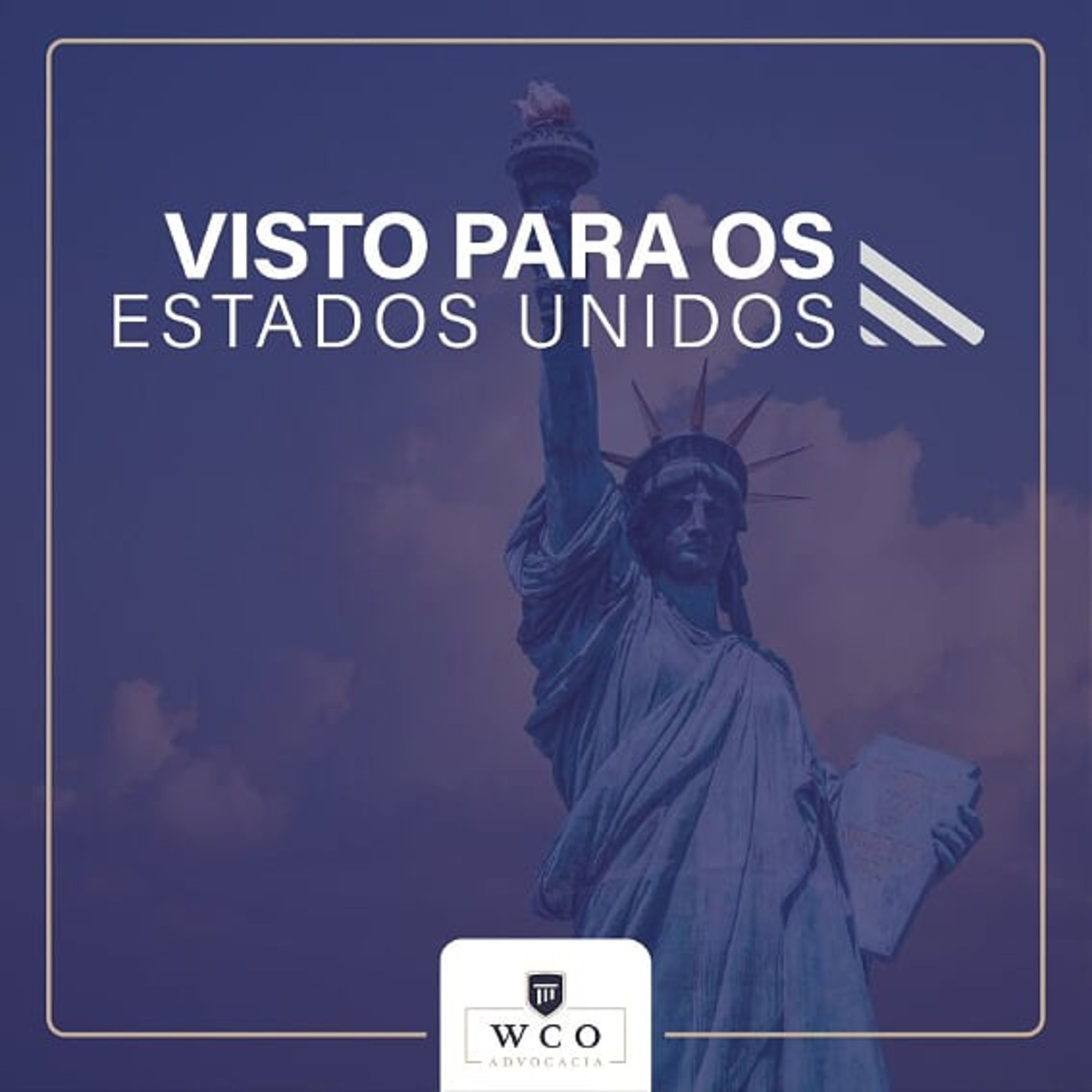 Advocacia Internacional