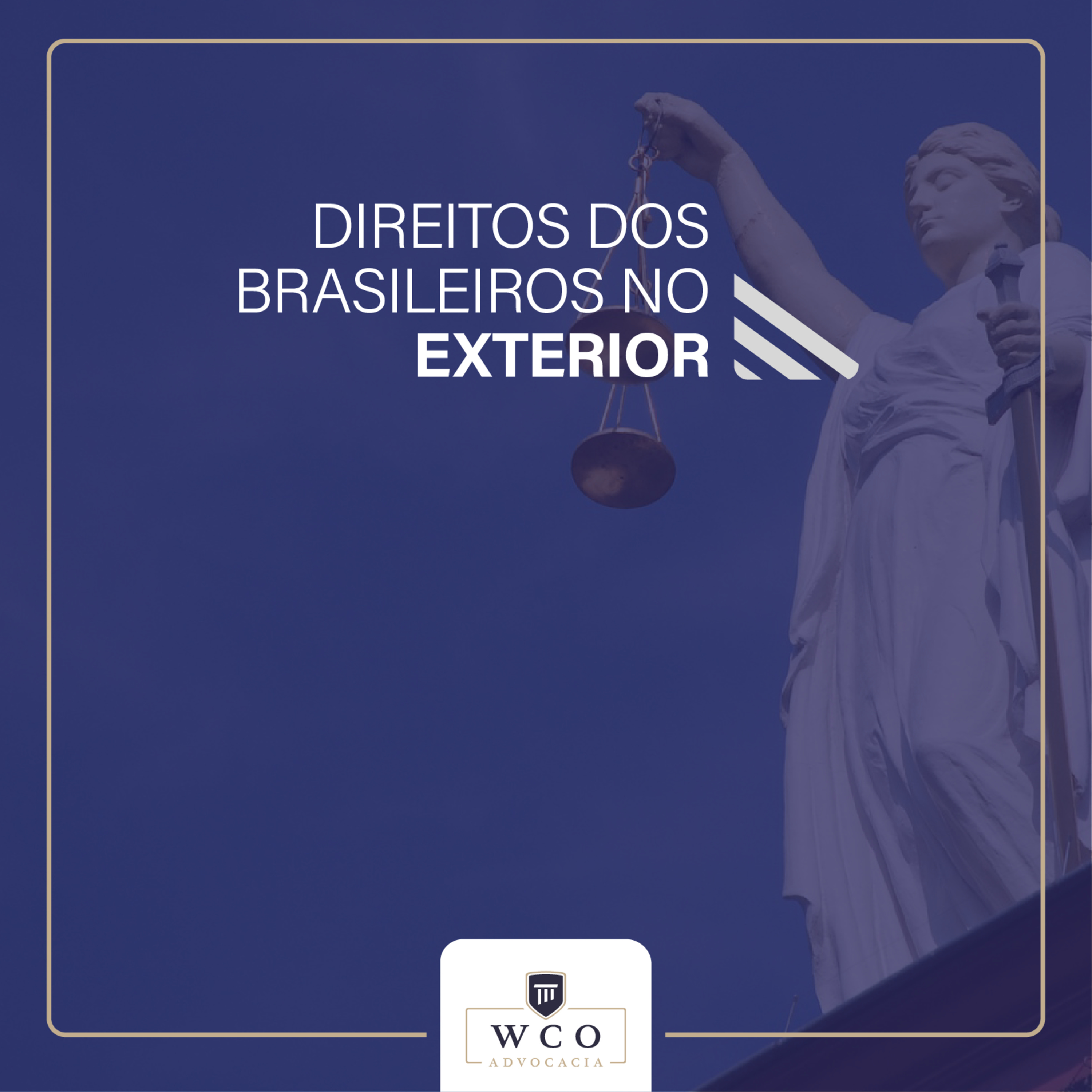 Advocacia Internacional