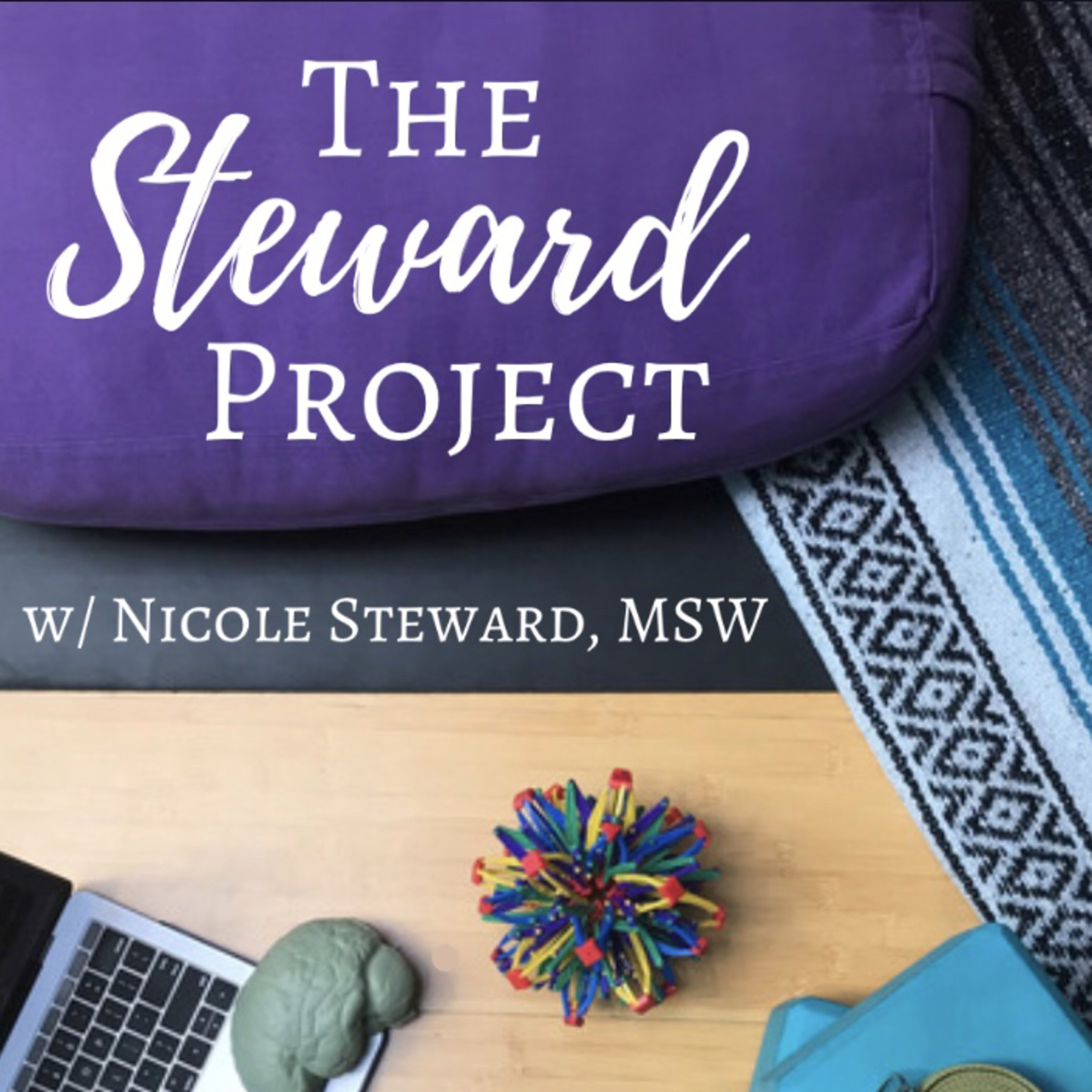 The Steward Project