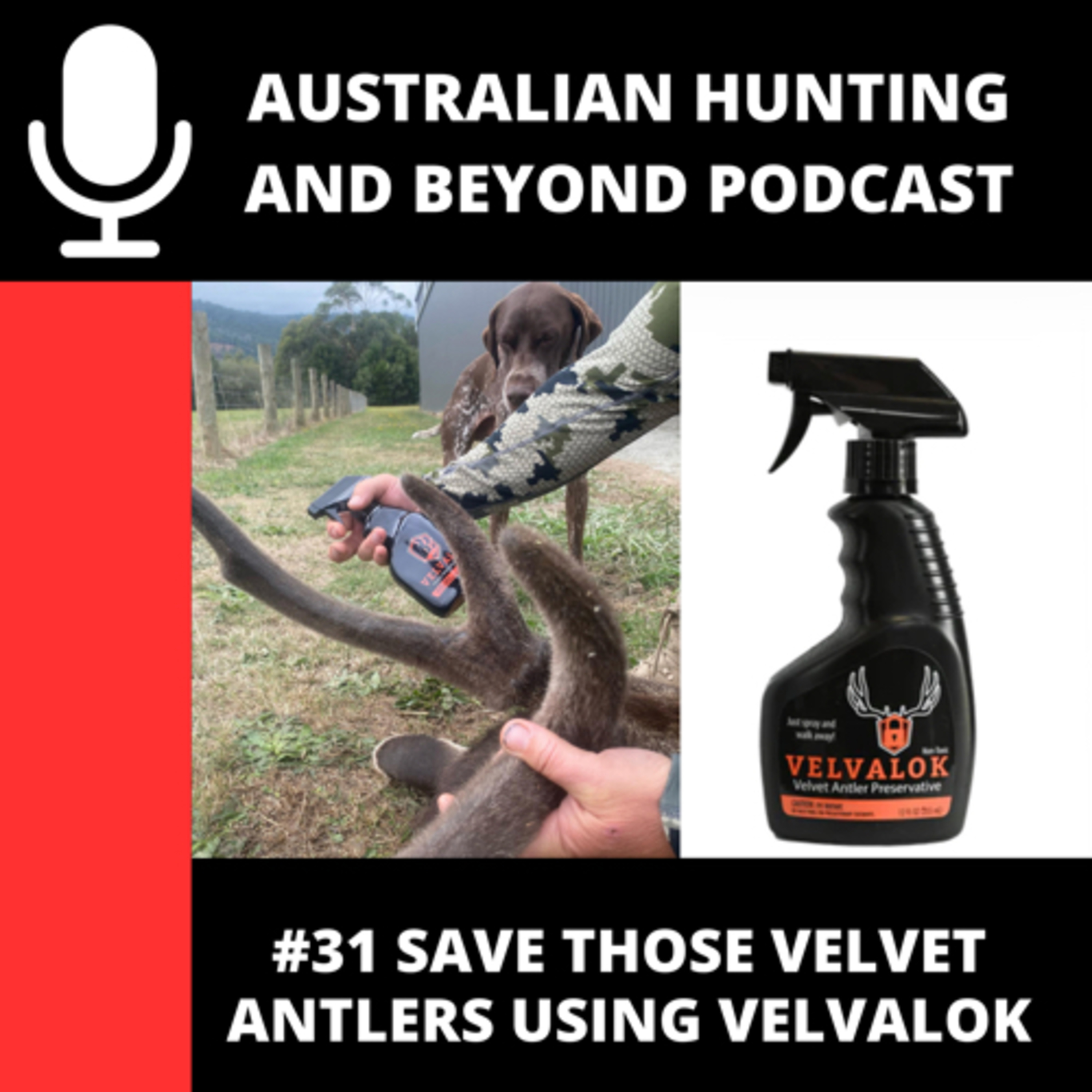 Australian Hunting and Beyond Podcast